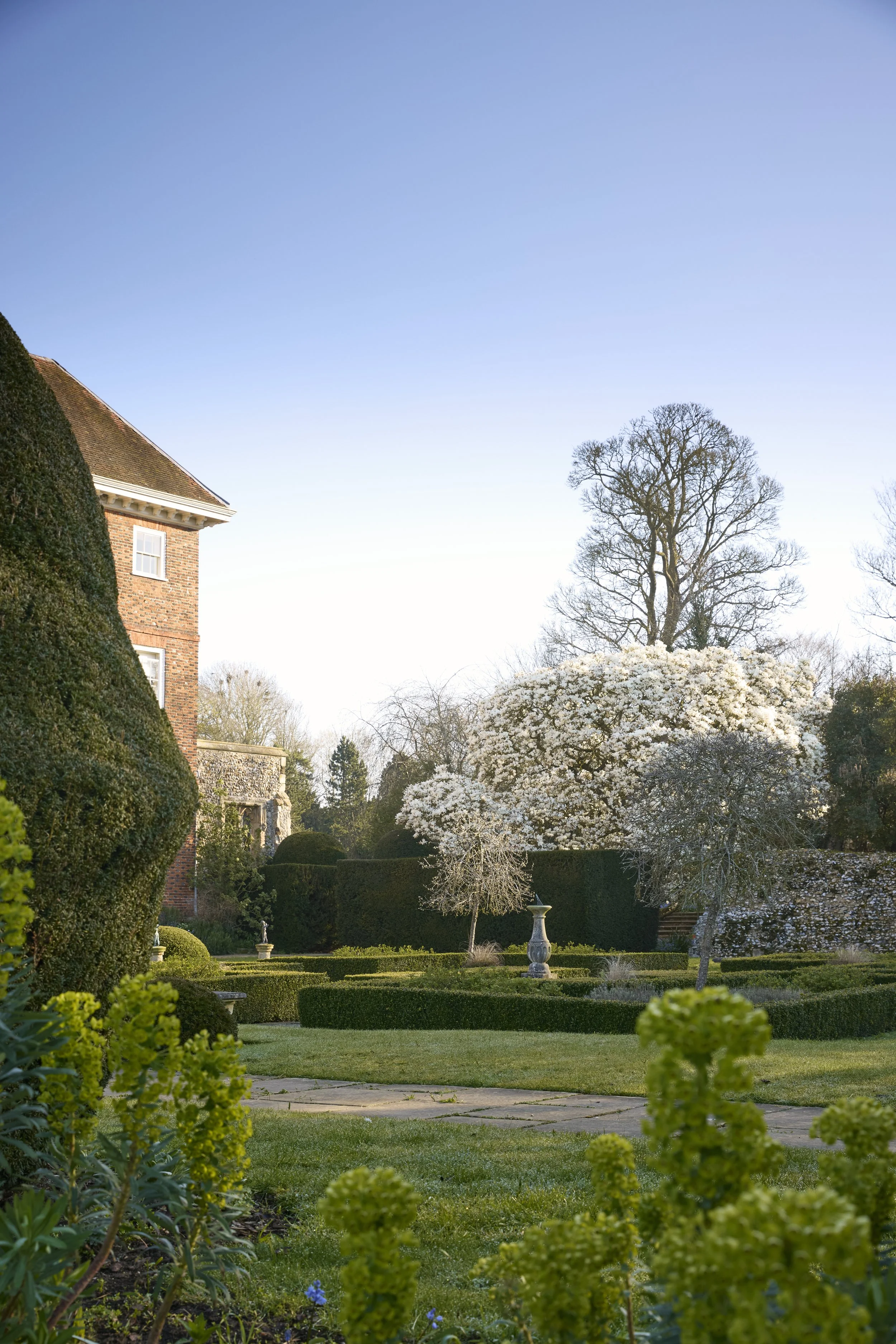 260311_Benington_Lordship_Gardens_A_01550.jpg