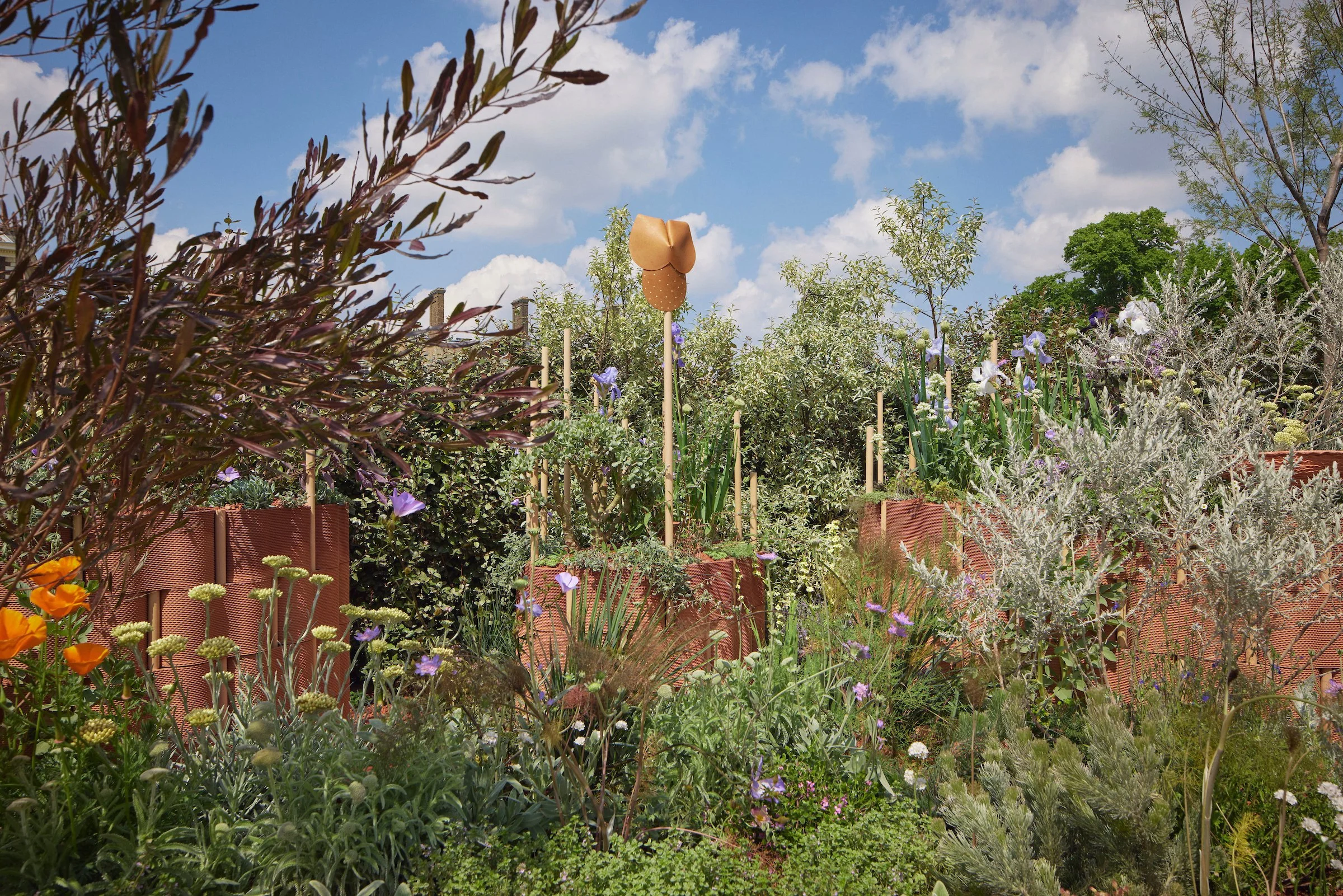 240519_RHS_Chelsea_Giulio_Giorgi_00561.jpg