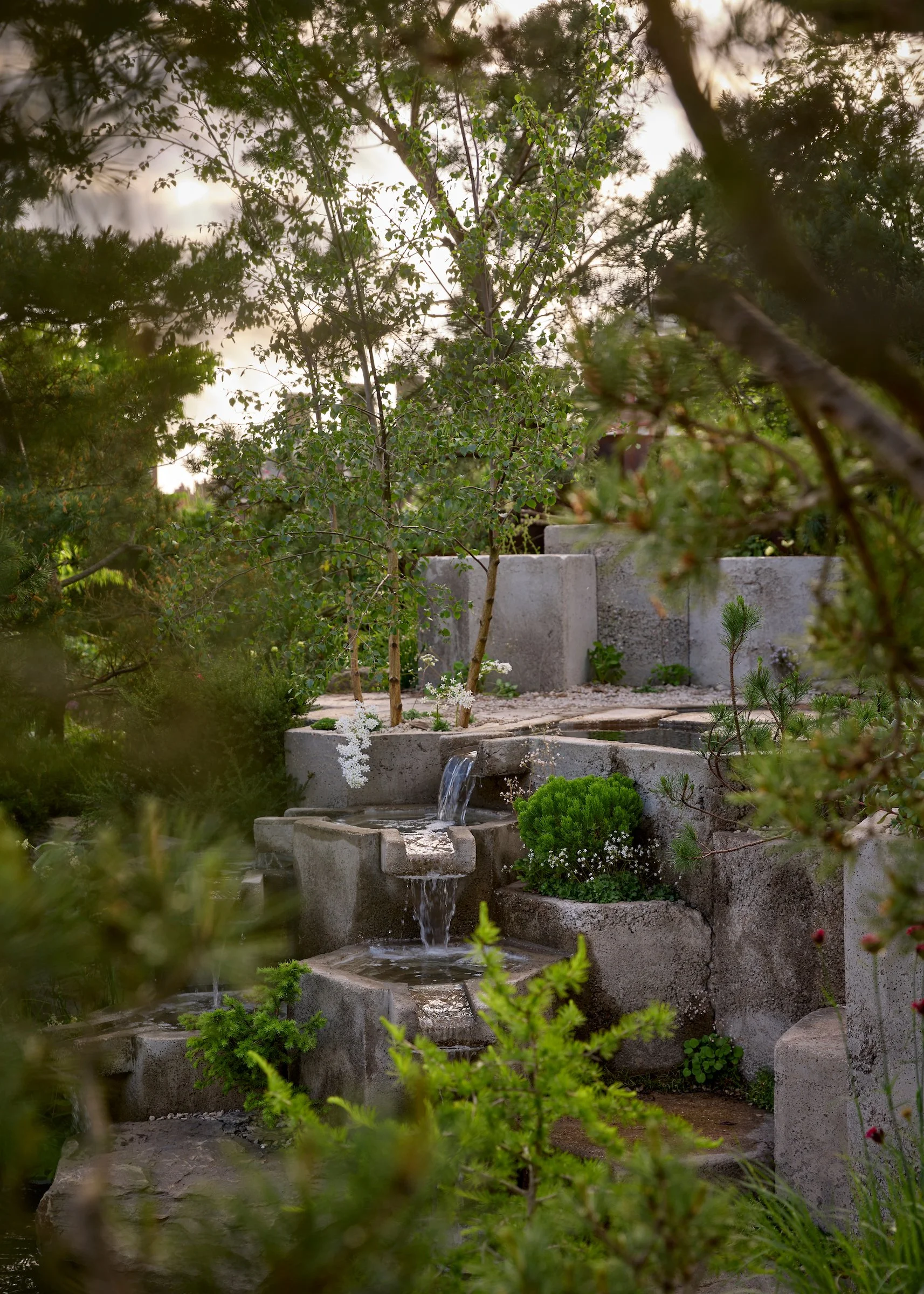 250517_RHS_Chelsea_Sun_02862.jpg