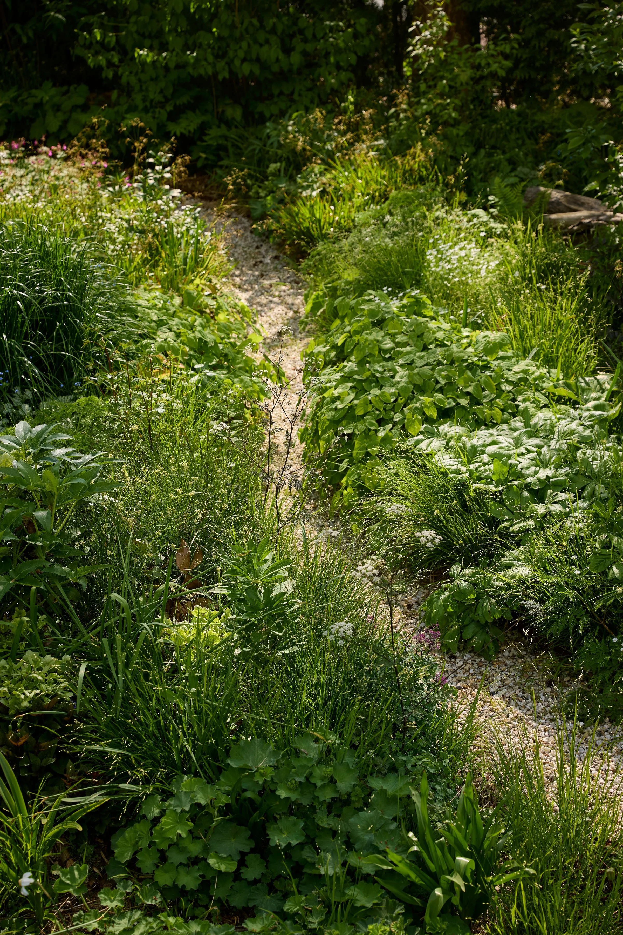 260507_SMLA_Hilversum_B_003210.jpg