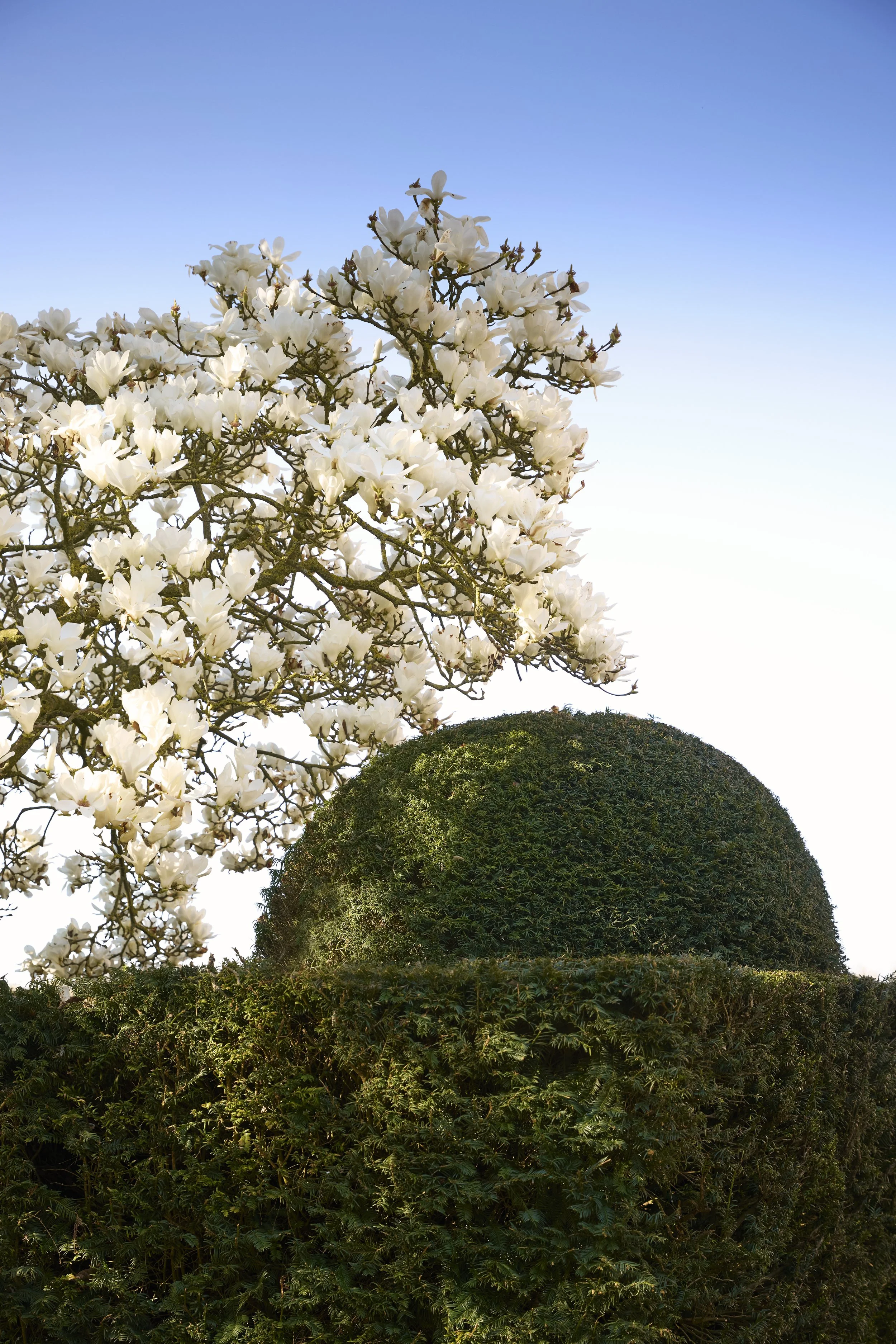 260311_Benington_Lordship_Gardens_A_01624.jpg