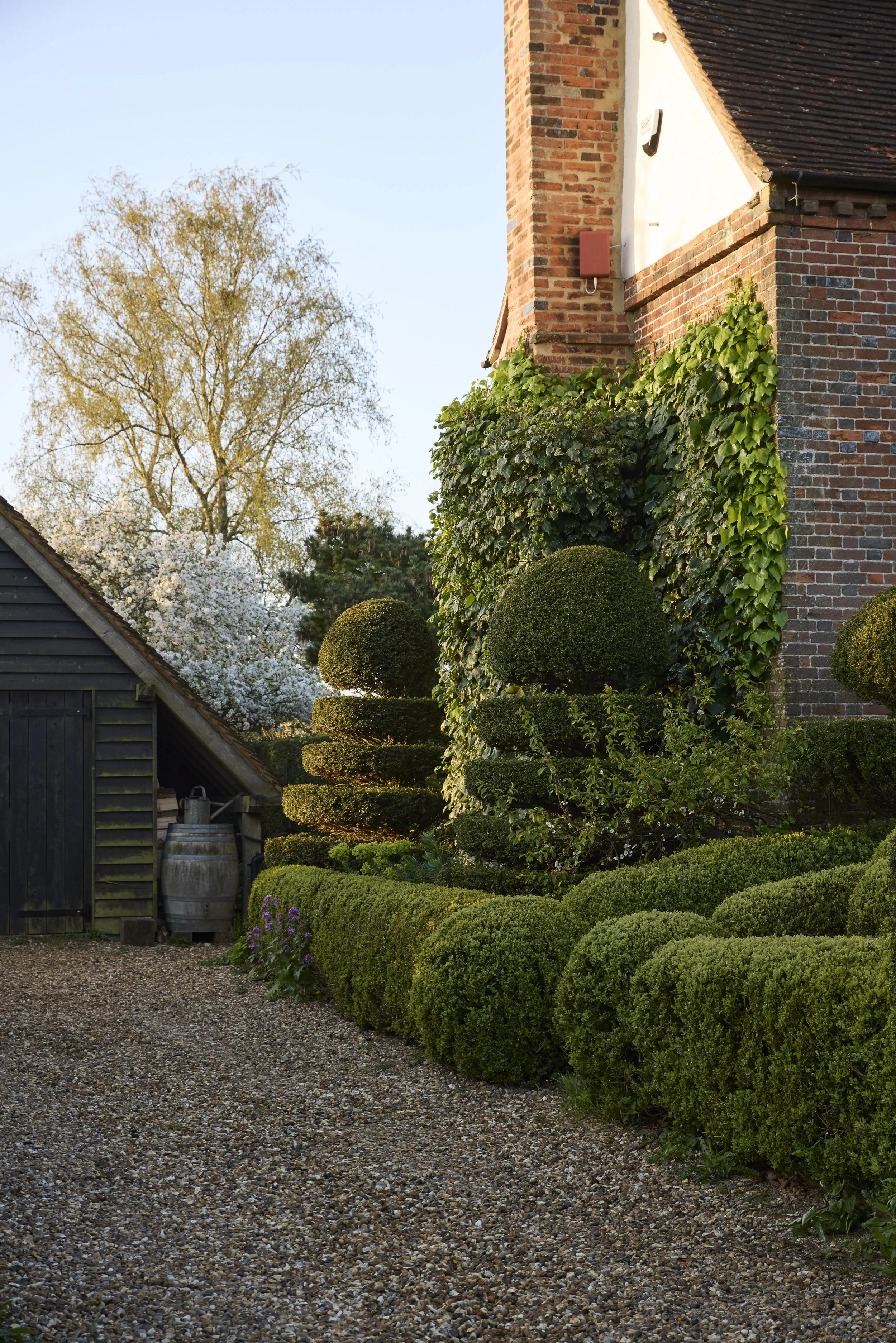 260422_Rustling_End_Herts_Spring_00213.jpg