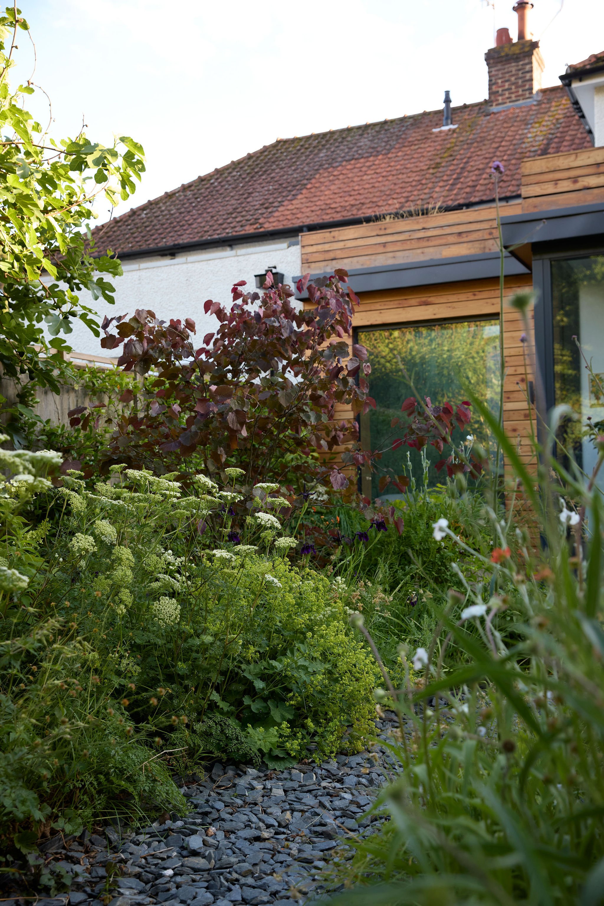 260608_SMLA_Holly_Cottage_00653.jpg