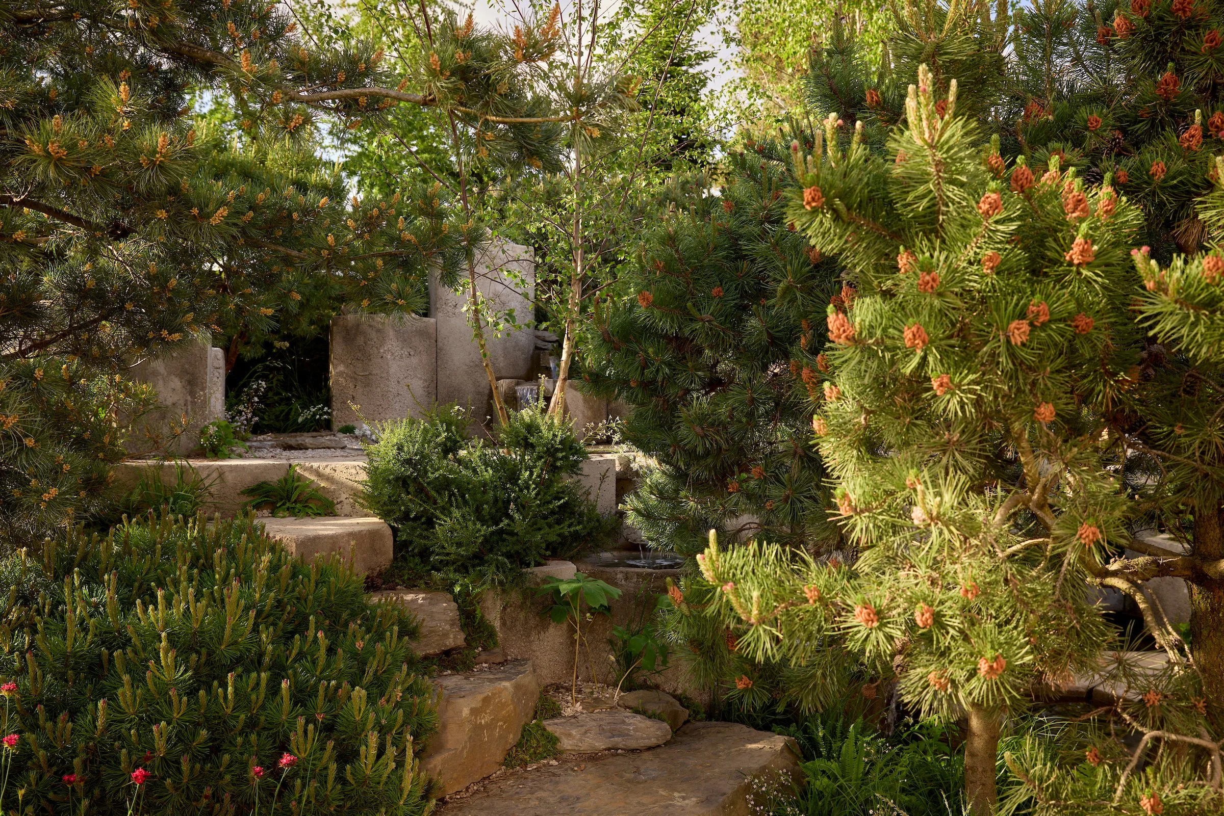 250517_RHS_Chelsea_Sun_02825.jpg