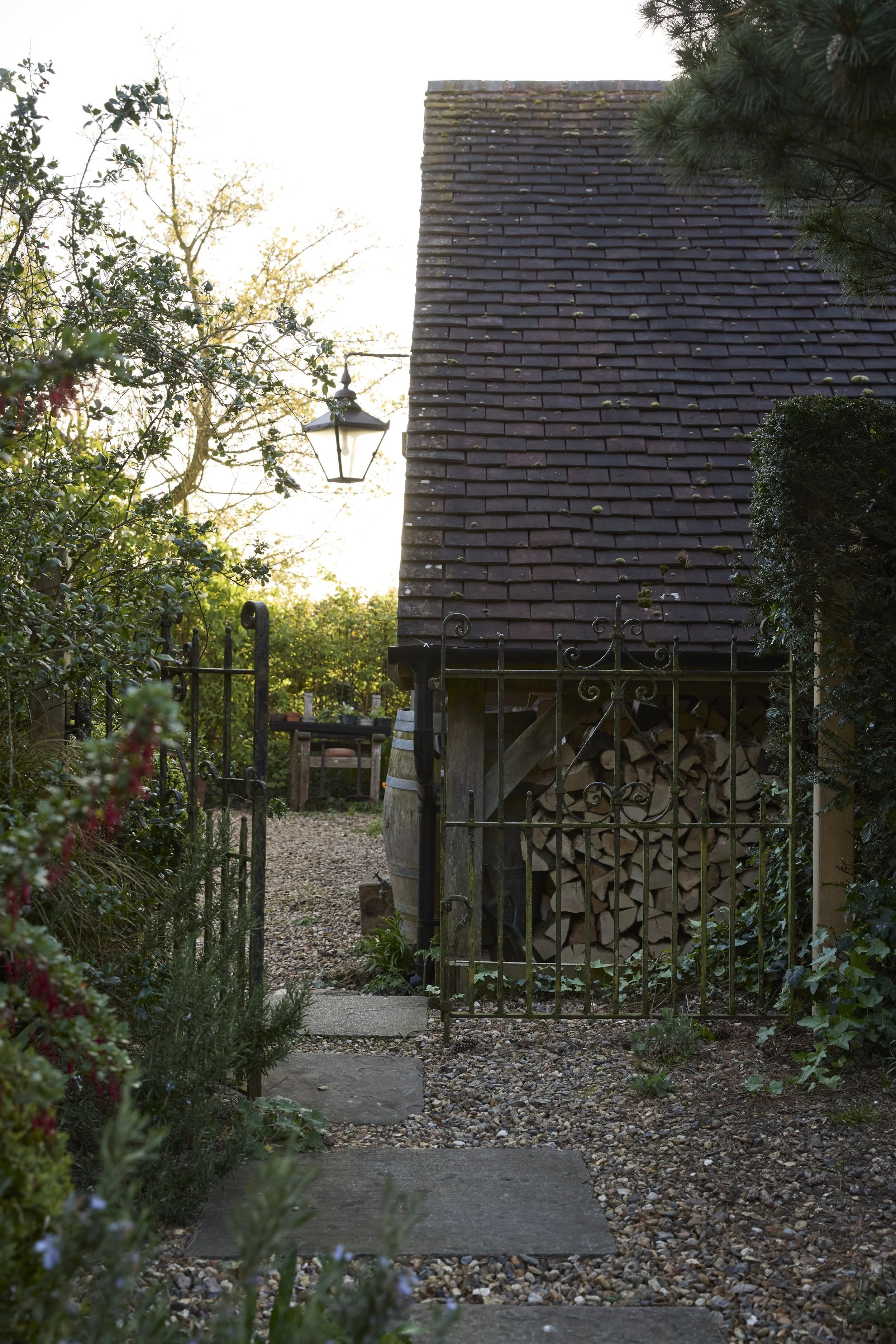 260422_Rustling_End_Herts_Spring_00195.jpg
