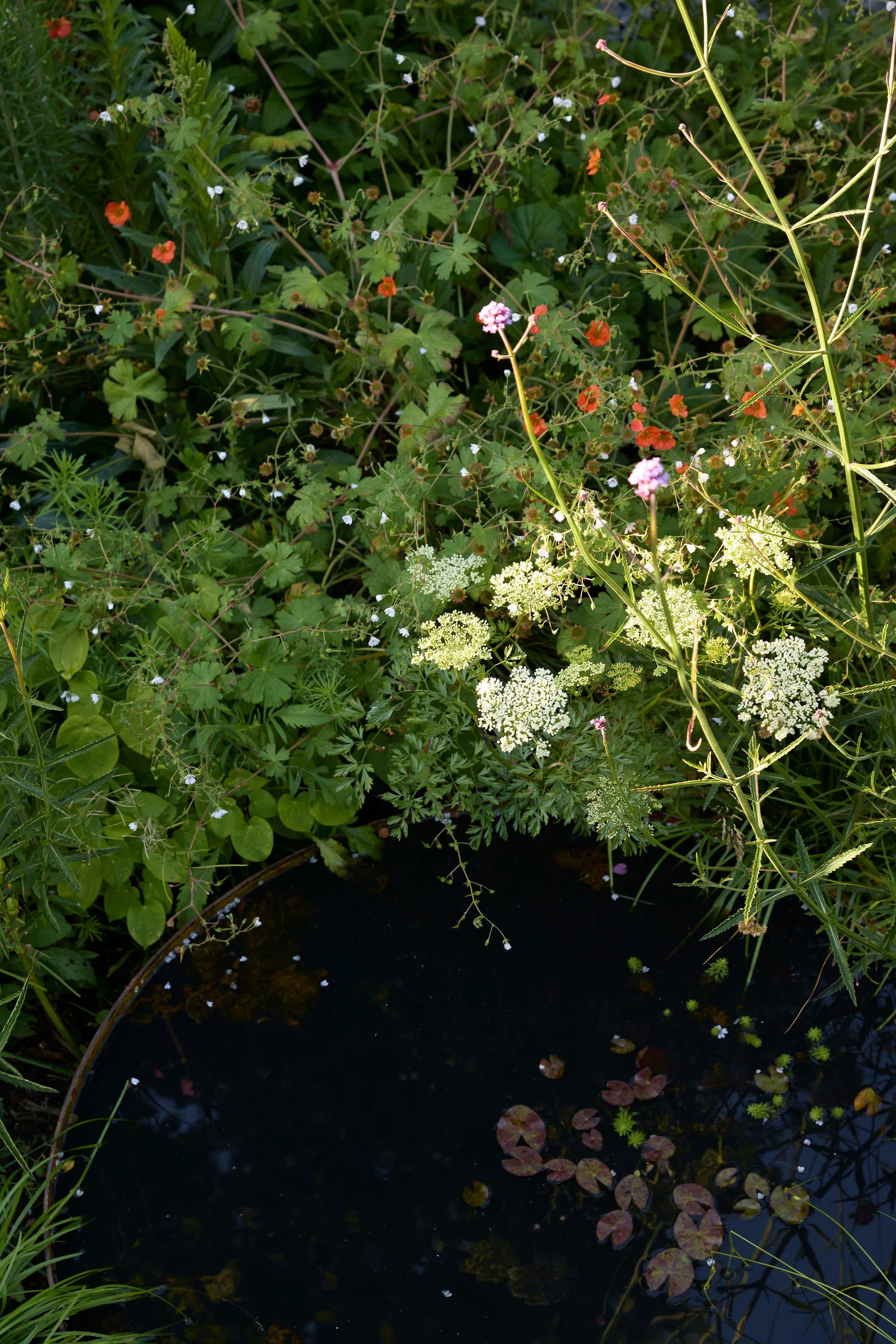260608_SMLA_Holly_Cottage_00450.jpg
