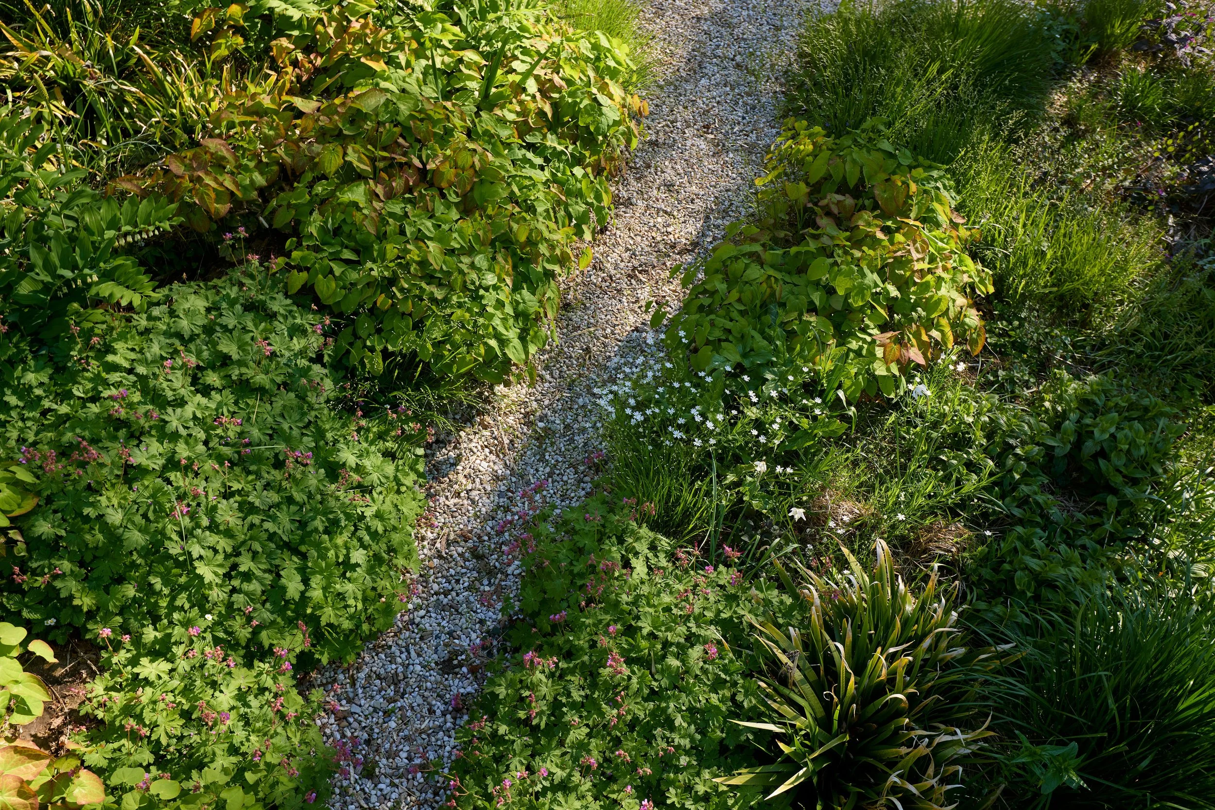 260507_SMLA_Hilversum_B_003381.jpg