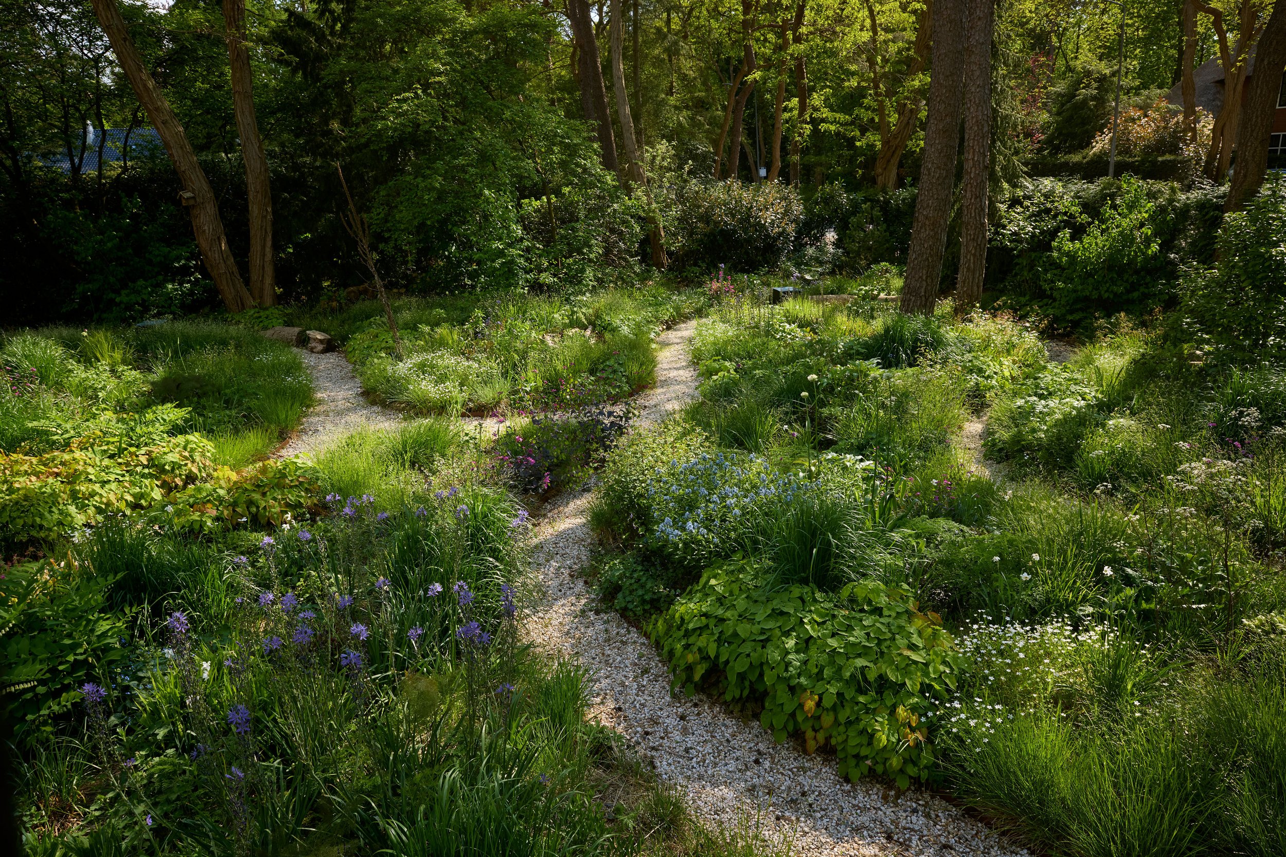 260507_SMLA_Hilversum_B_003238.jpg