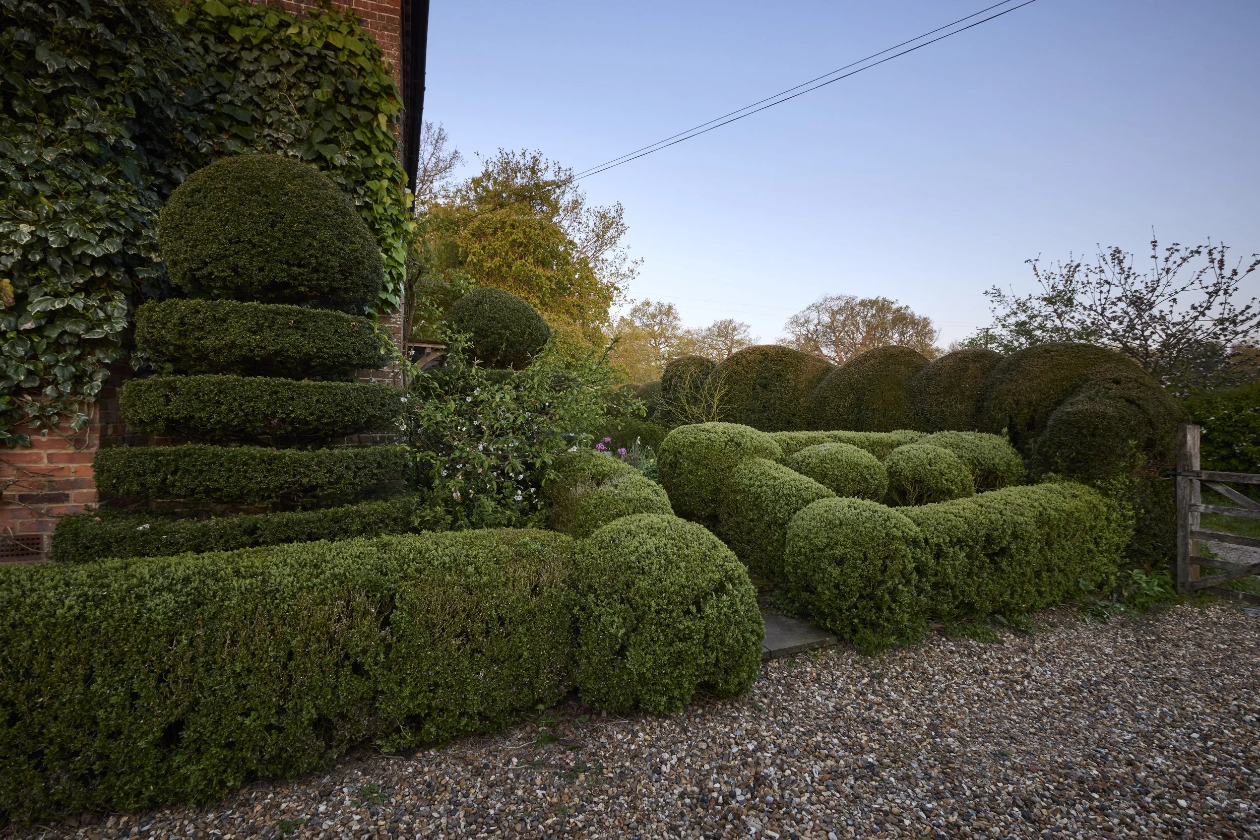 260422_Rustling_End_Herts_Spring_00019.jpg