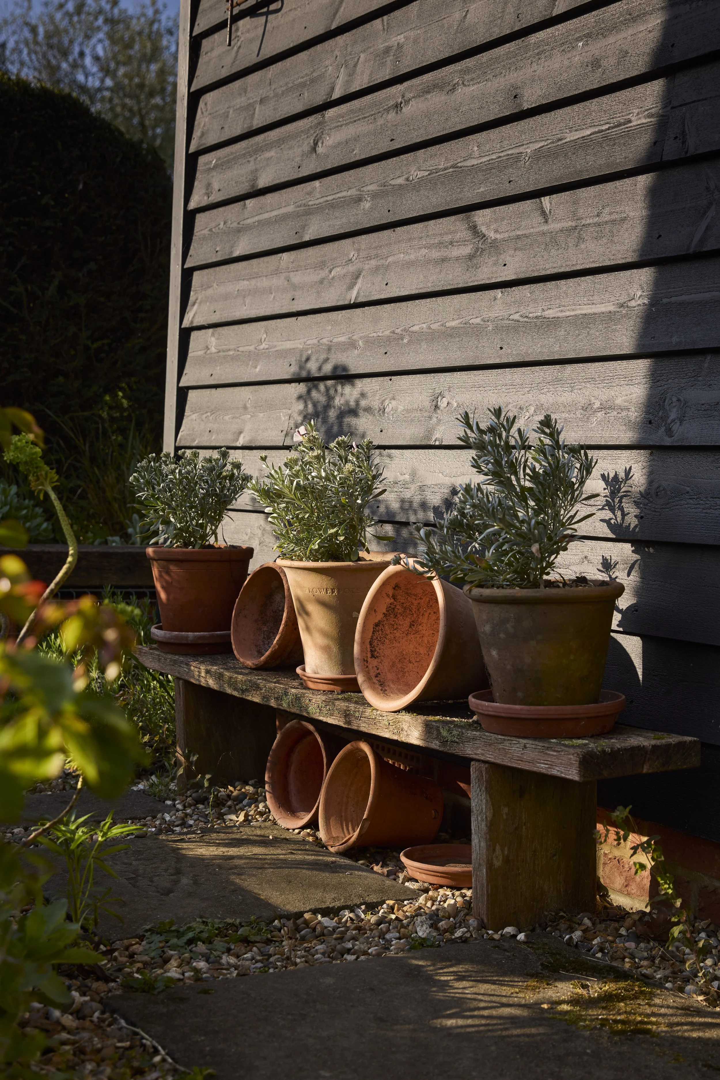 260422_Rustling_End_Herts_Spring_00611.jpg