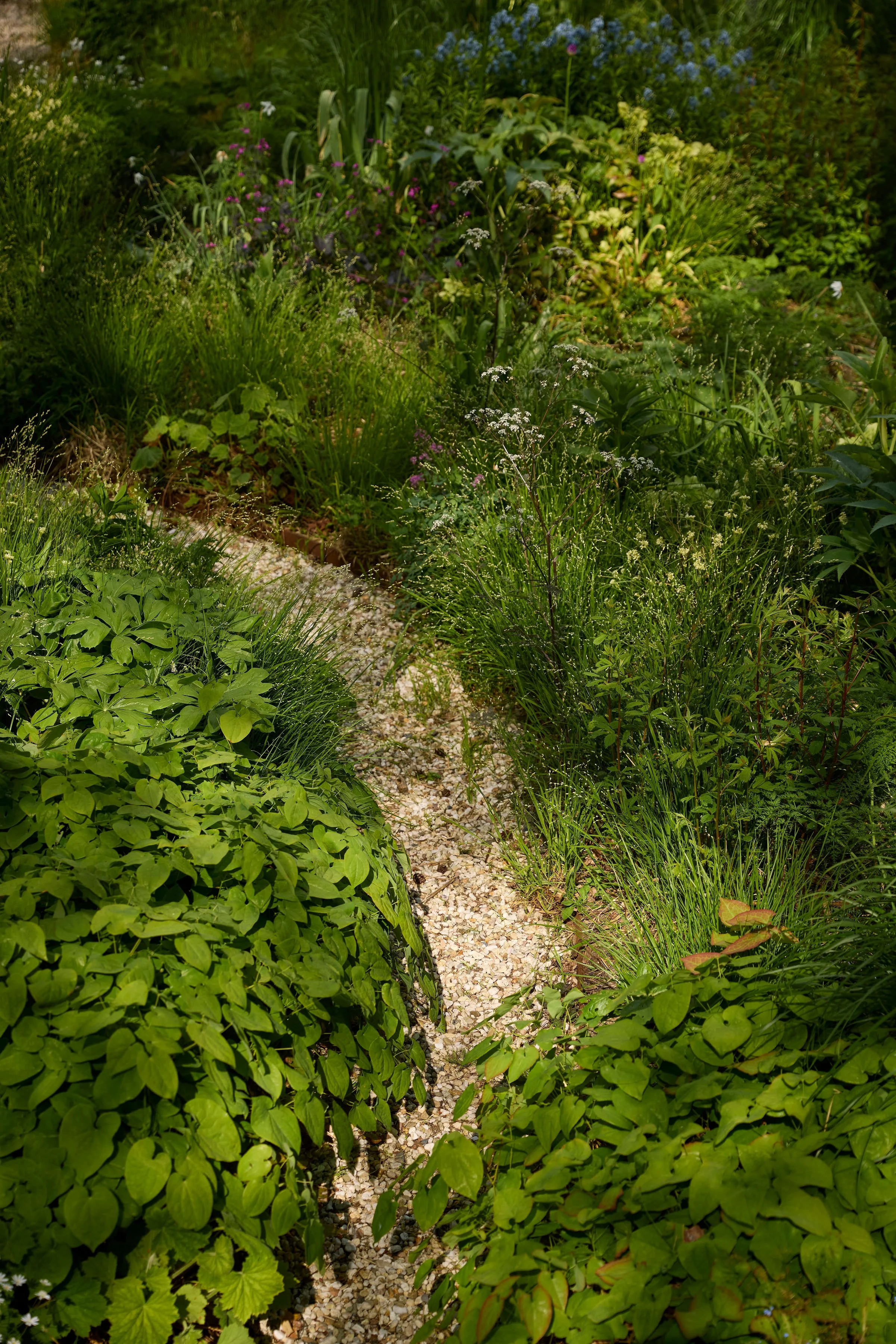 260507_SMLA_Hilversum_B_003164.jpg