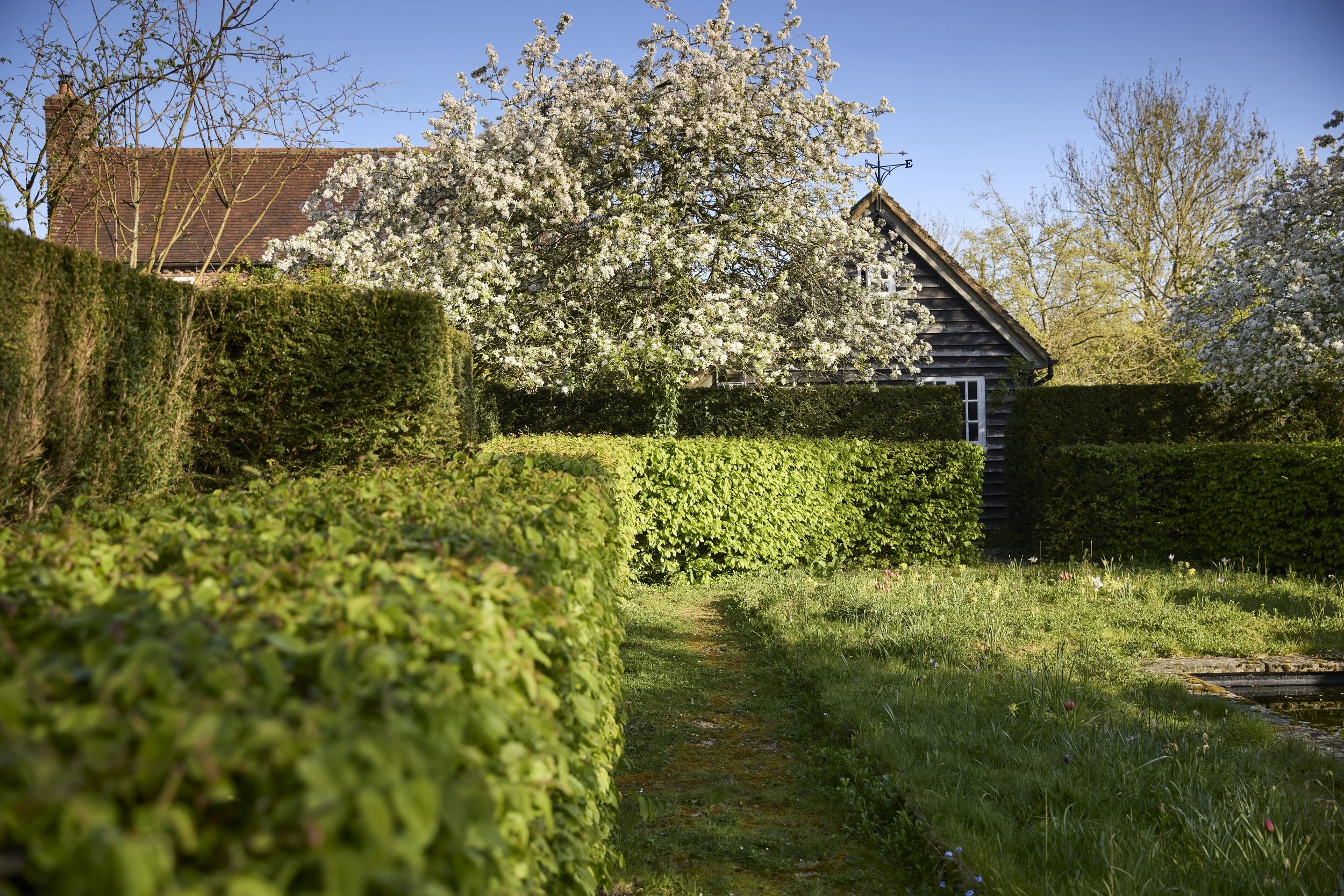 260422_Rustling_End_Herts_Spring_00652.jpg