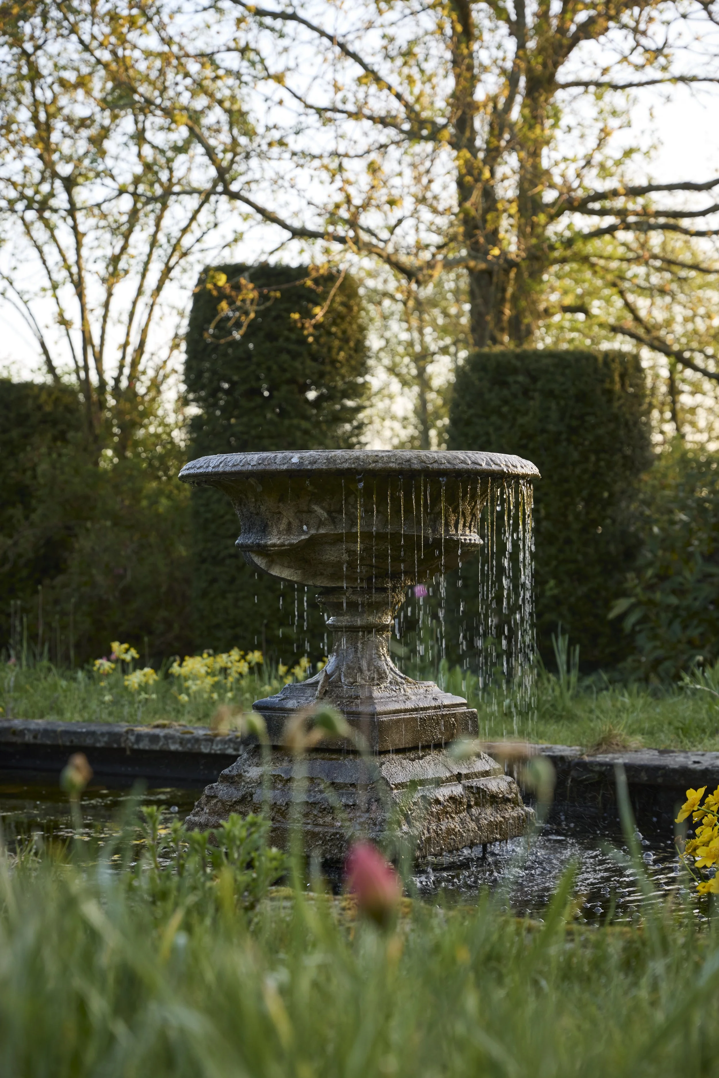 260422_Rustling_End_Herts_Spring_00173.jpg