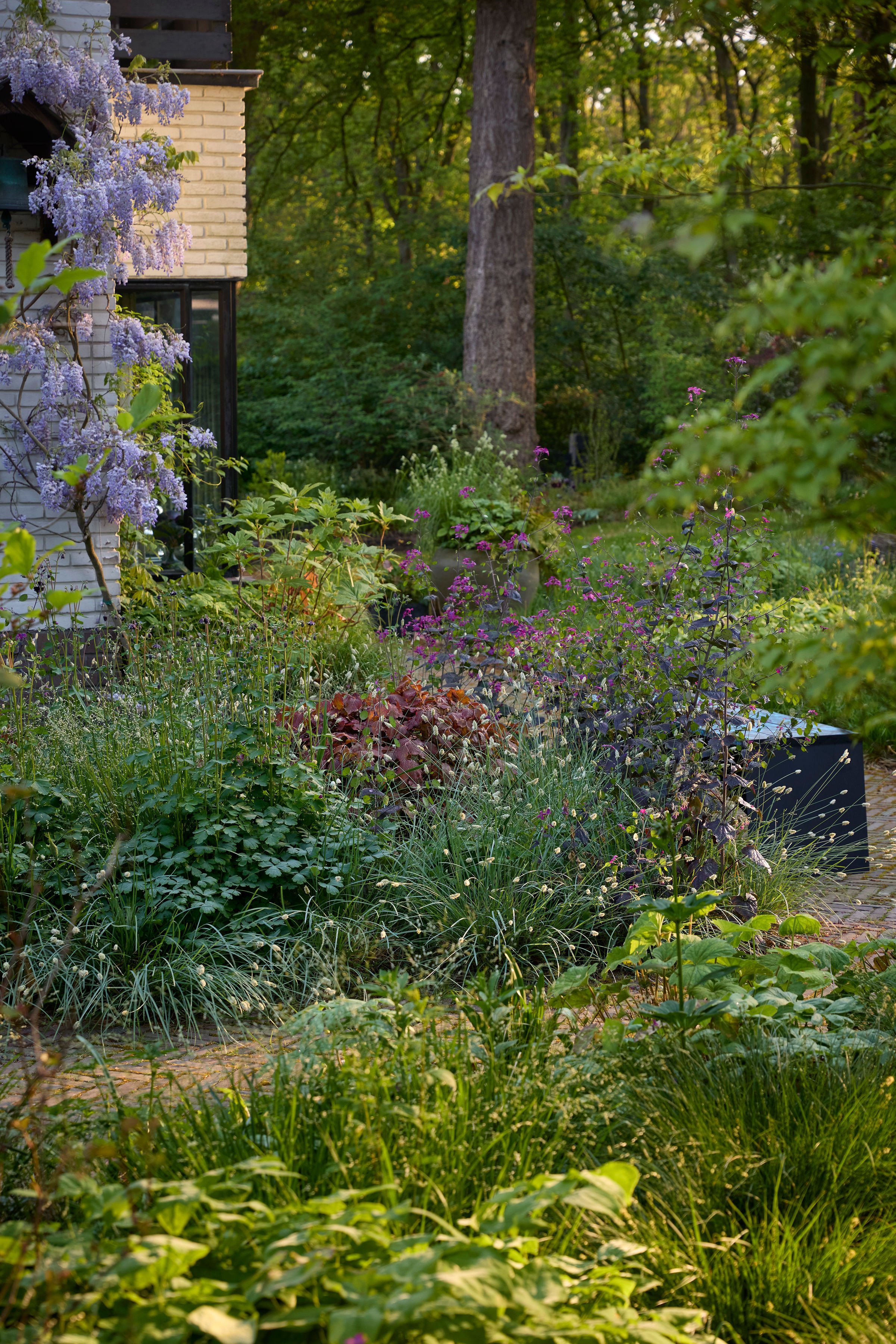 260507_SMLA_Hilversum_A_002463.jpg