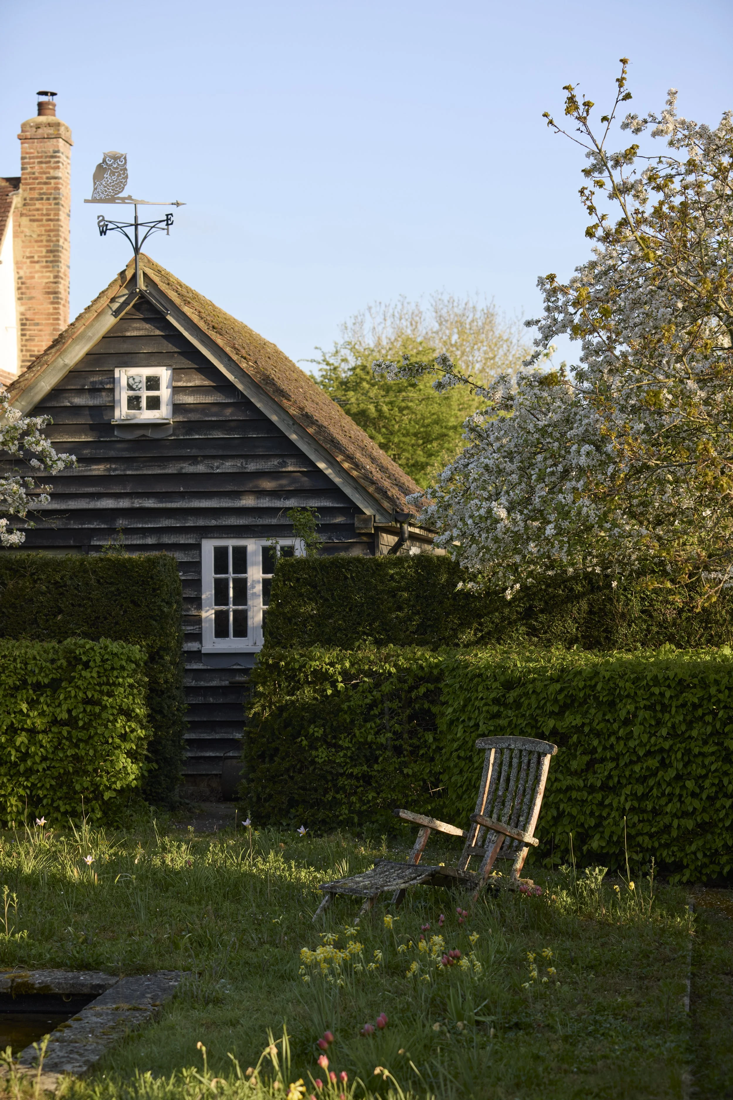 260422_Rustling_End_Herts_Spring_00445.jpg