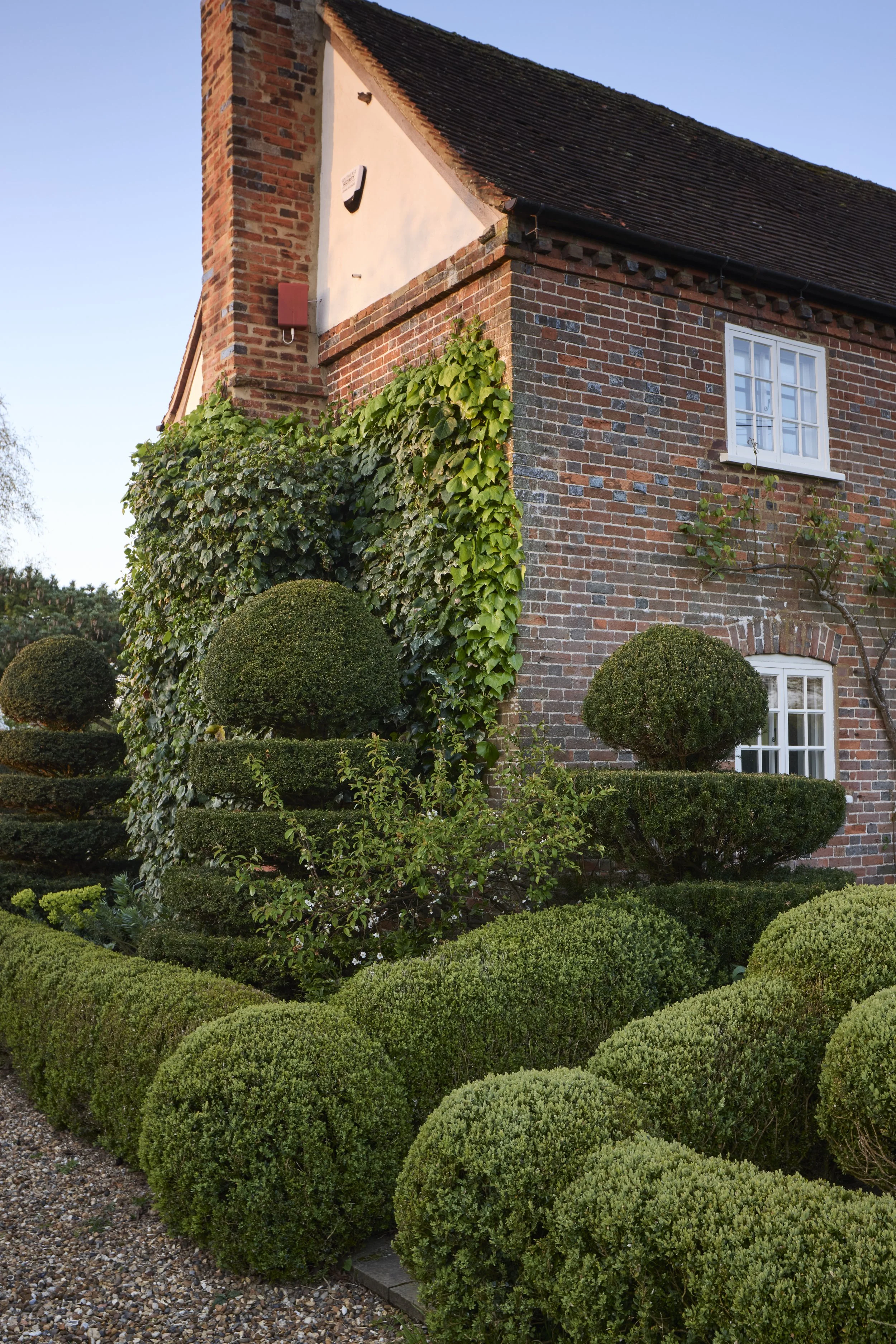 260422_Rustling_End_Herts_Spring_00045.jpg
