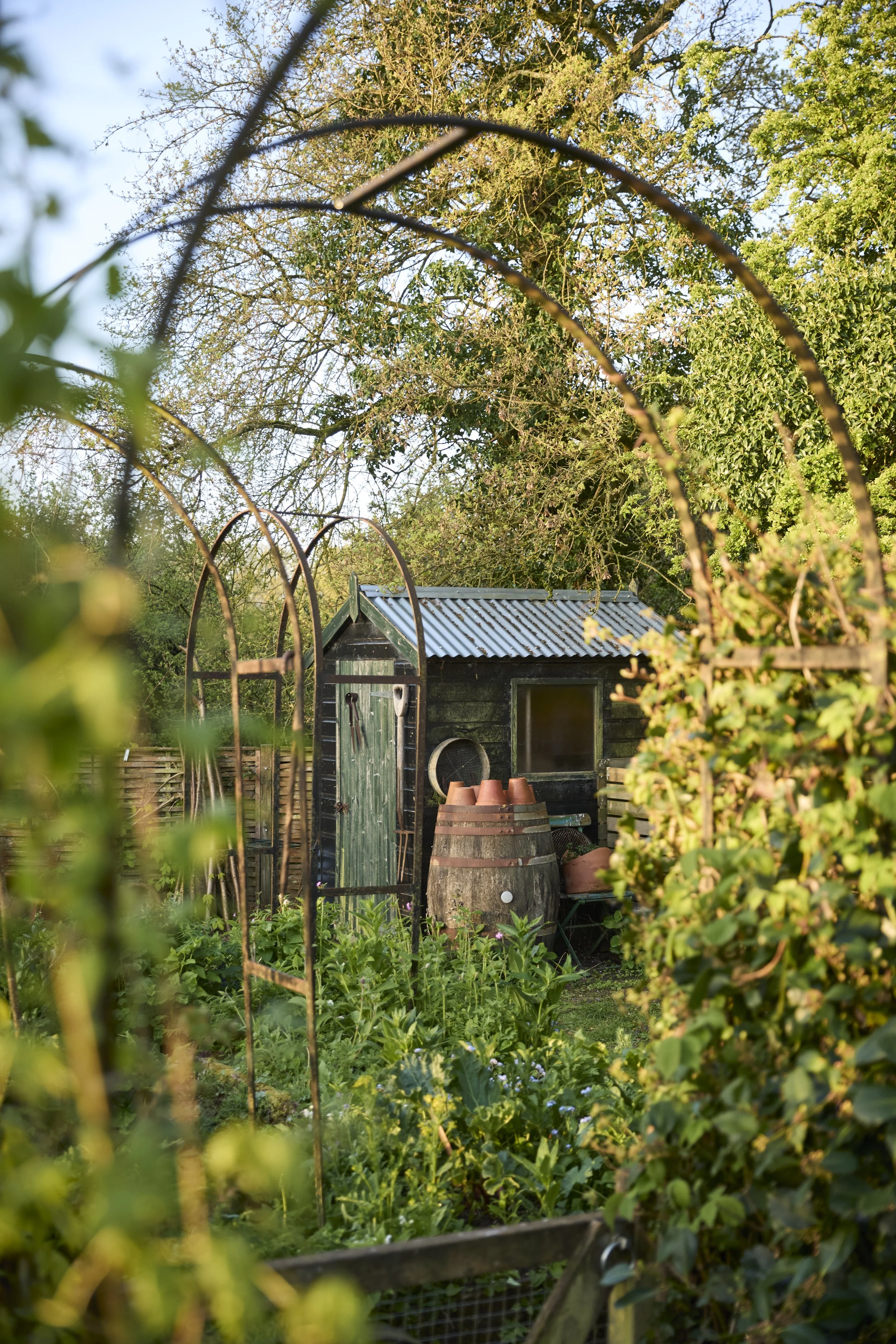 260422_Rustling_End_Herts_Spring_00231.jpg