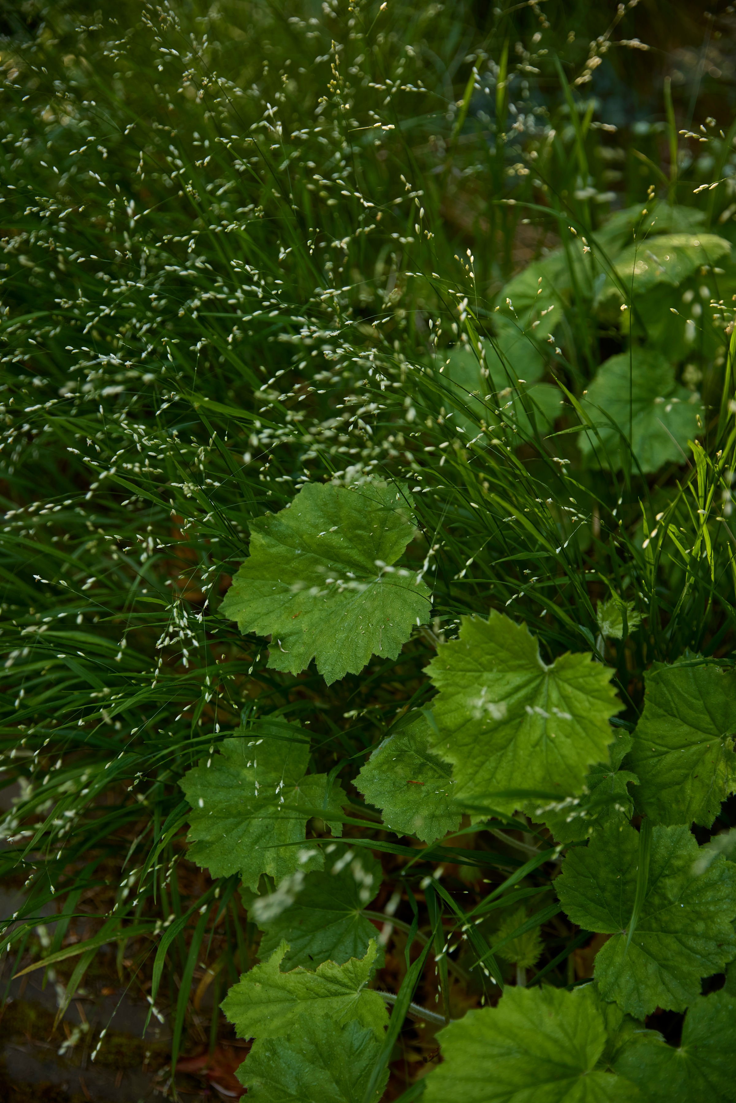 260507_SMLA_Hilversum_A_002763.jpg