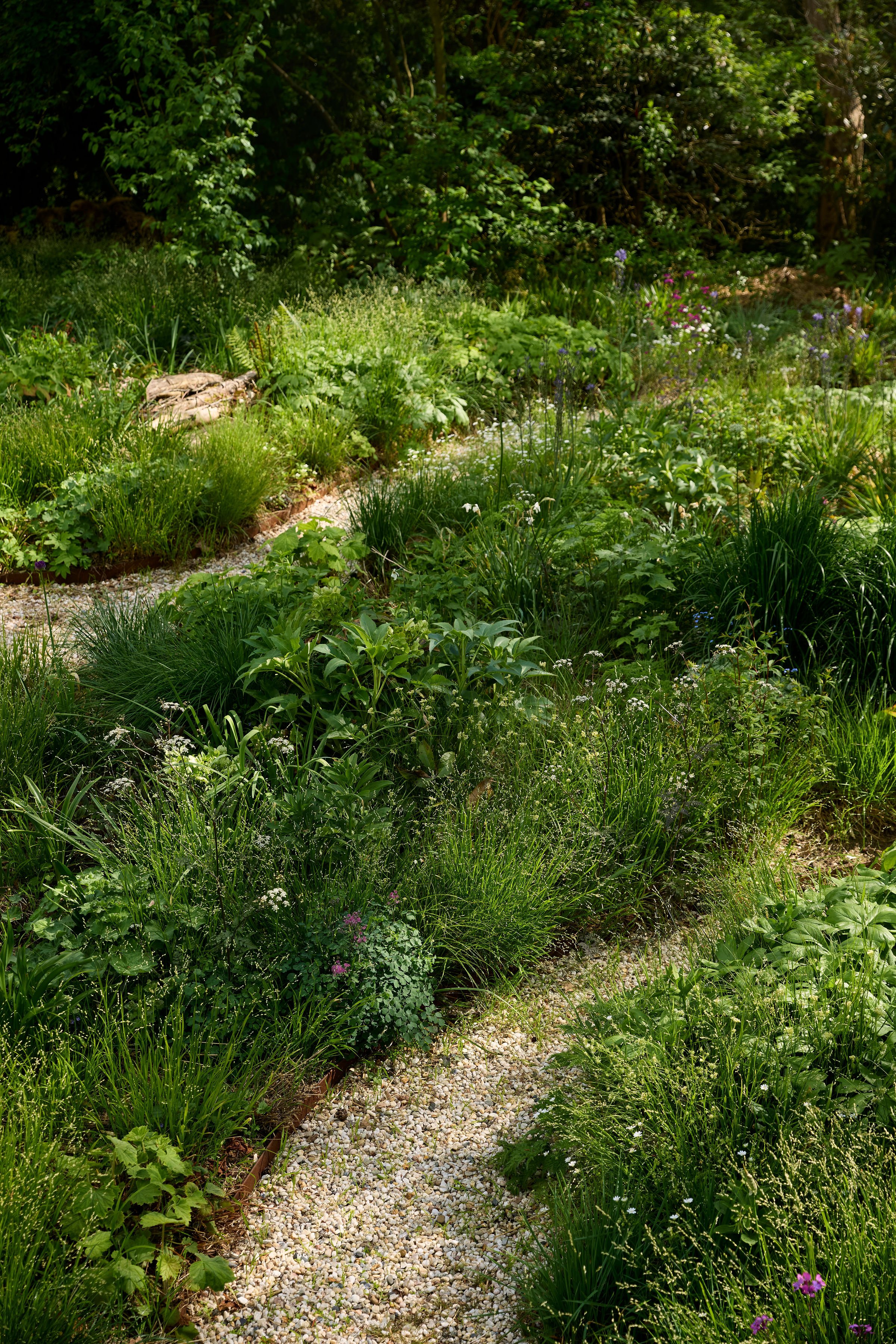 260507_SMLA_Hilversum_B_003153.jpg