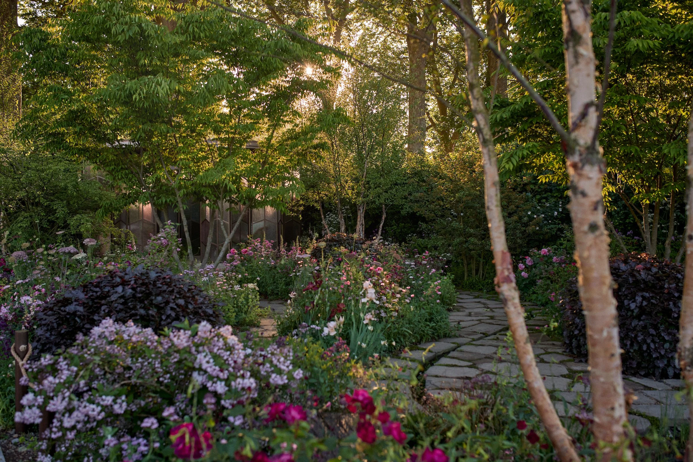 250520_RHS_Chelsea_Tues_06083 1.jpg