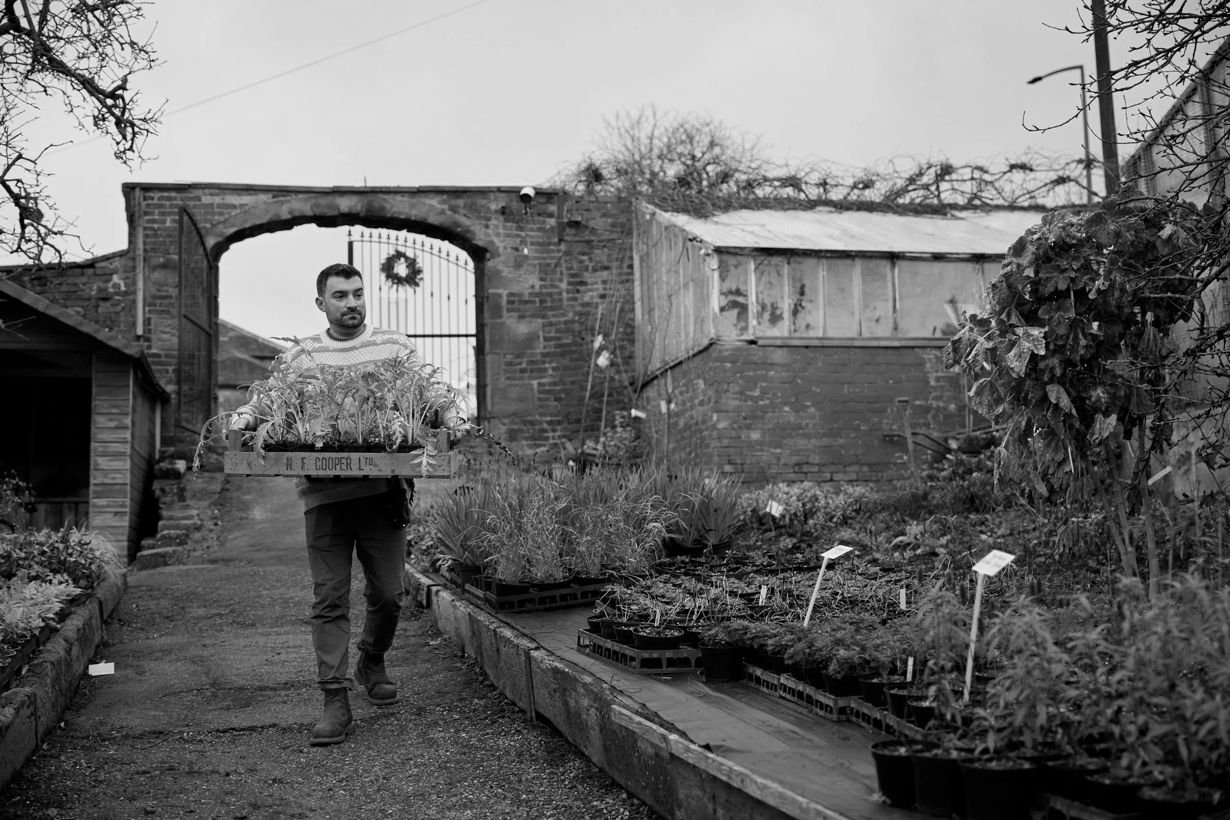 231221_Hooton's_Walled_Nursery_01284 1.jpg