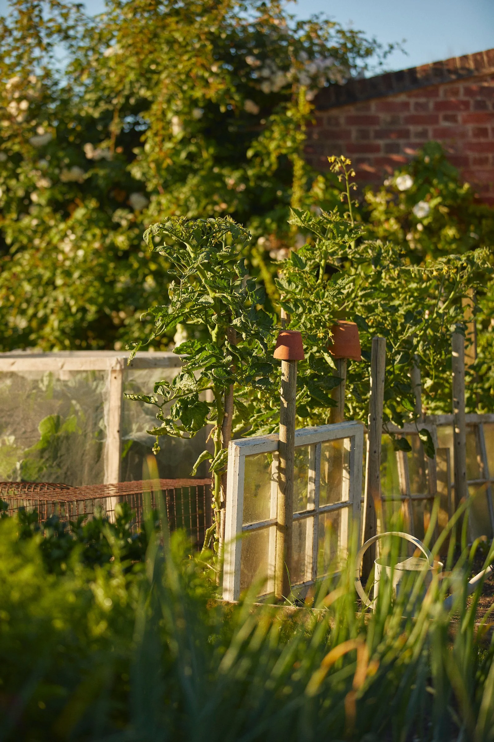 220708_Long_Bredy_House_ 29 1.jpg