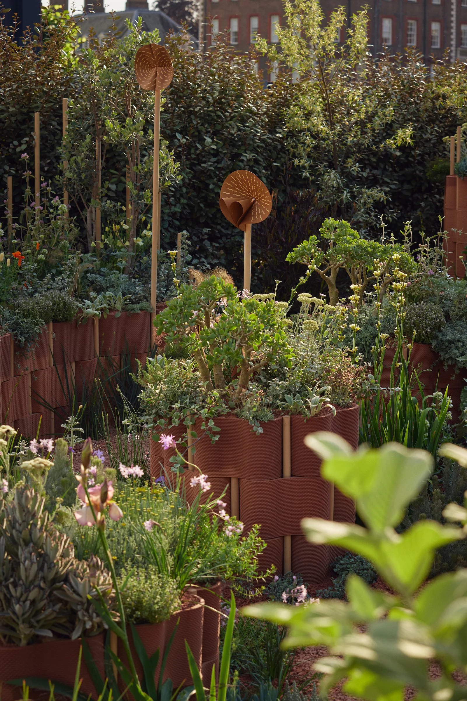 240519_RHS_Chelsea_Others_01141.jpg