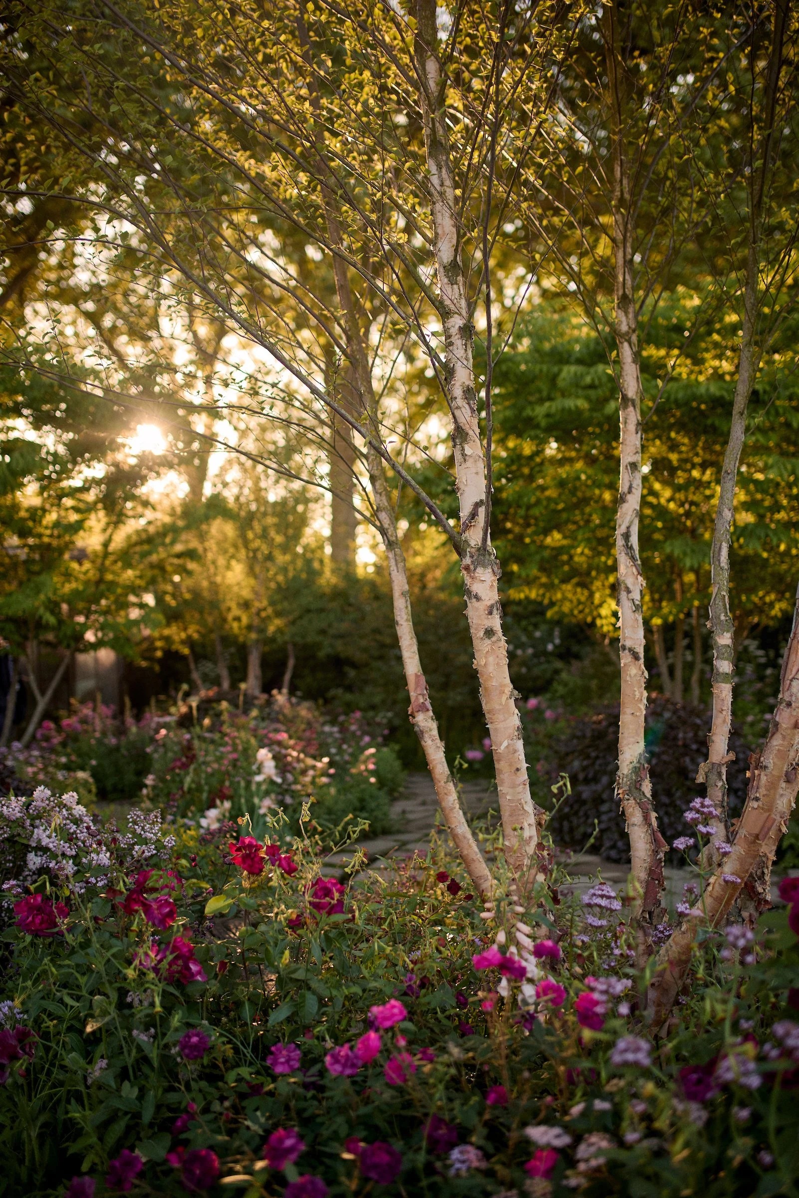 250520_RHS_Chelsea_Tues_06072 1.jpg