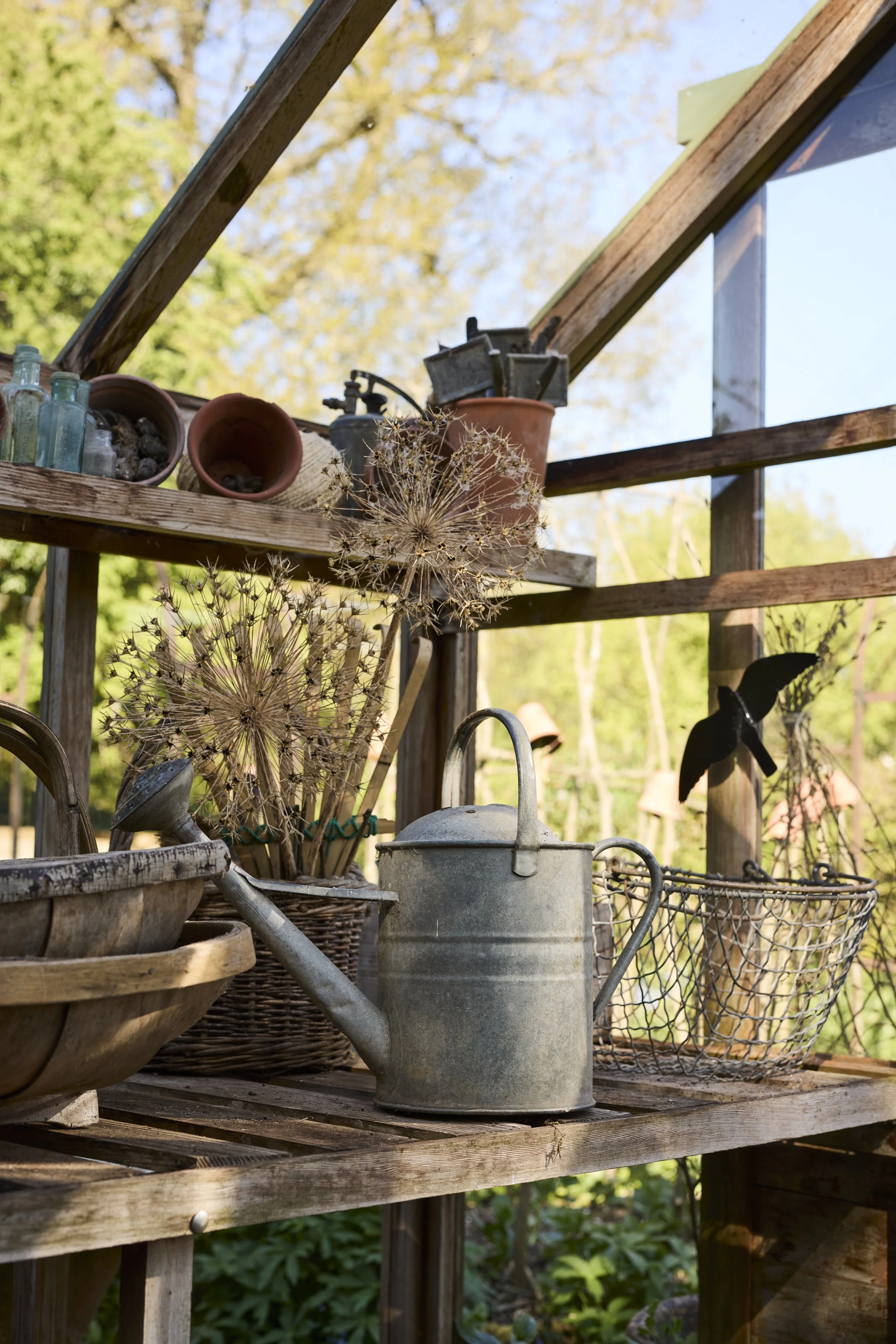 260422_Rustling_End_Herts_Spring_00780.jpg