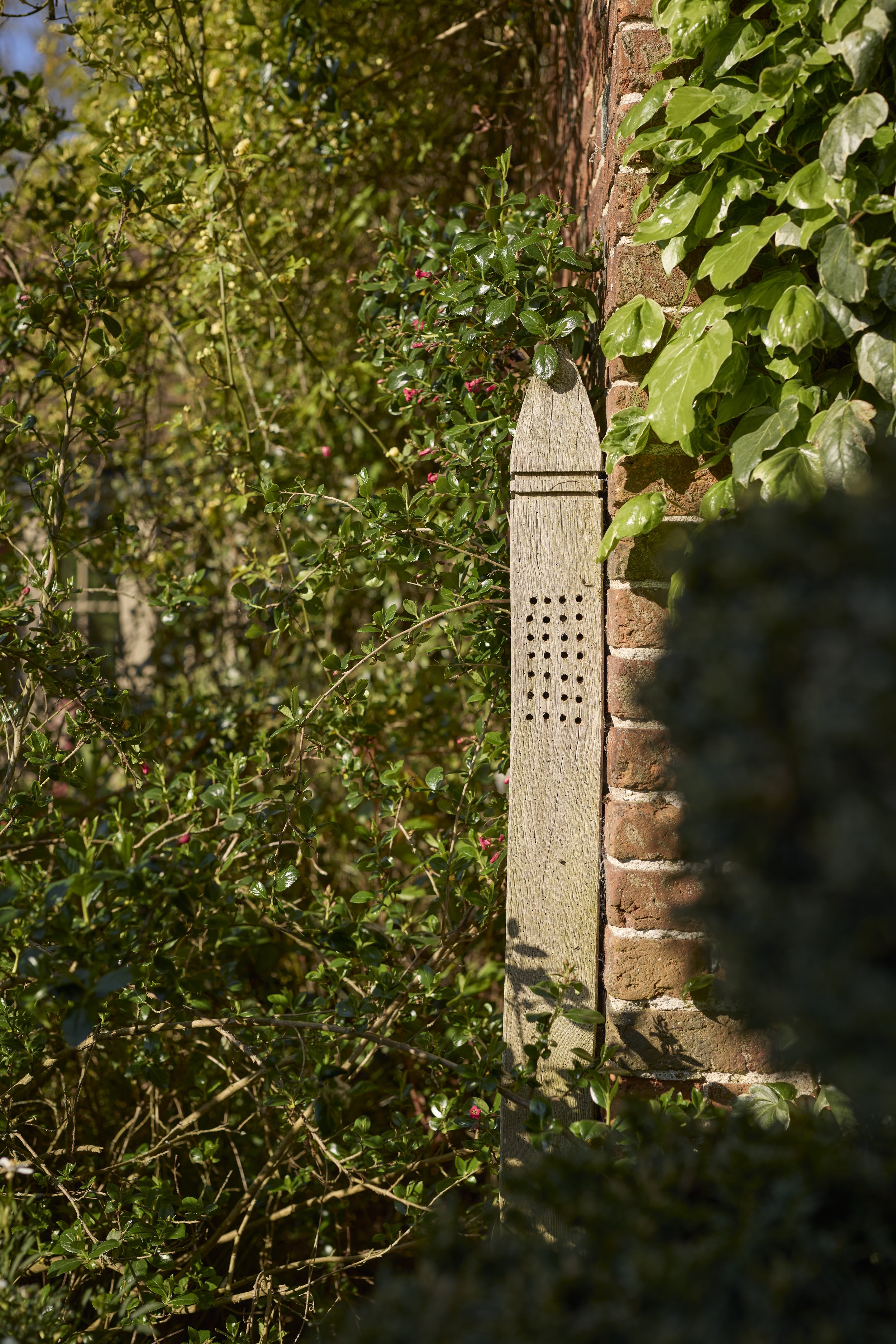260422_Rustling_End_Herts_Spring_00742.jpg