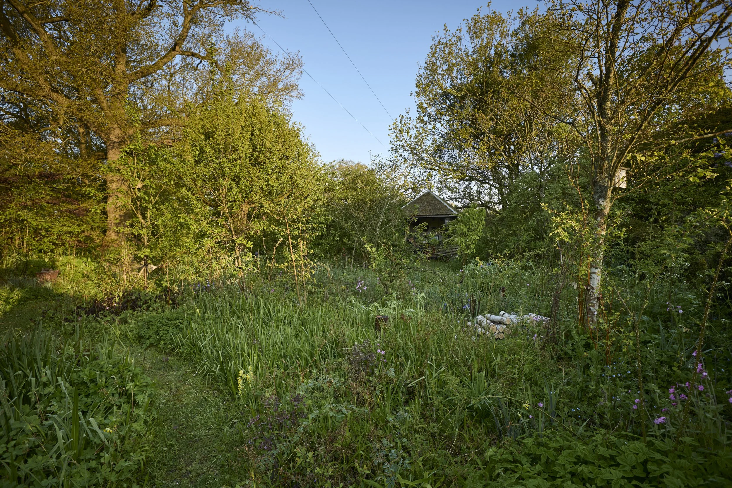 260422_Rustling_End_Herts_Spring_00275.jpg