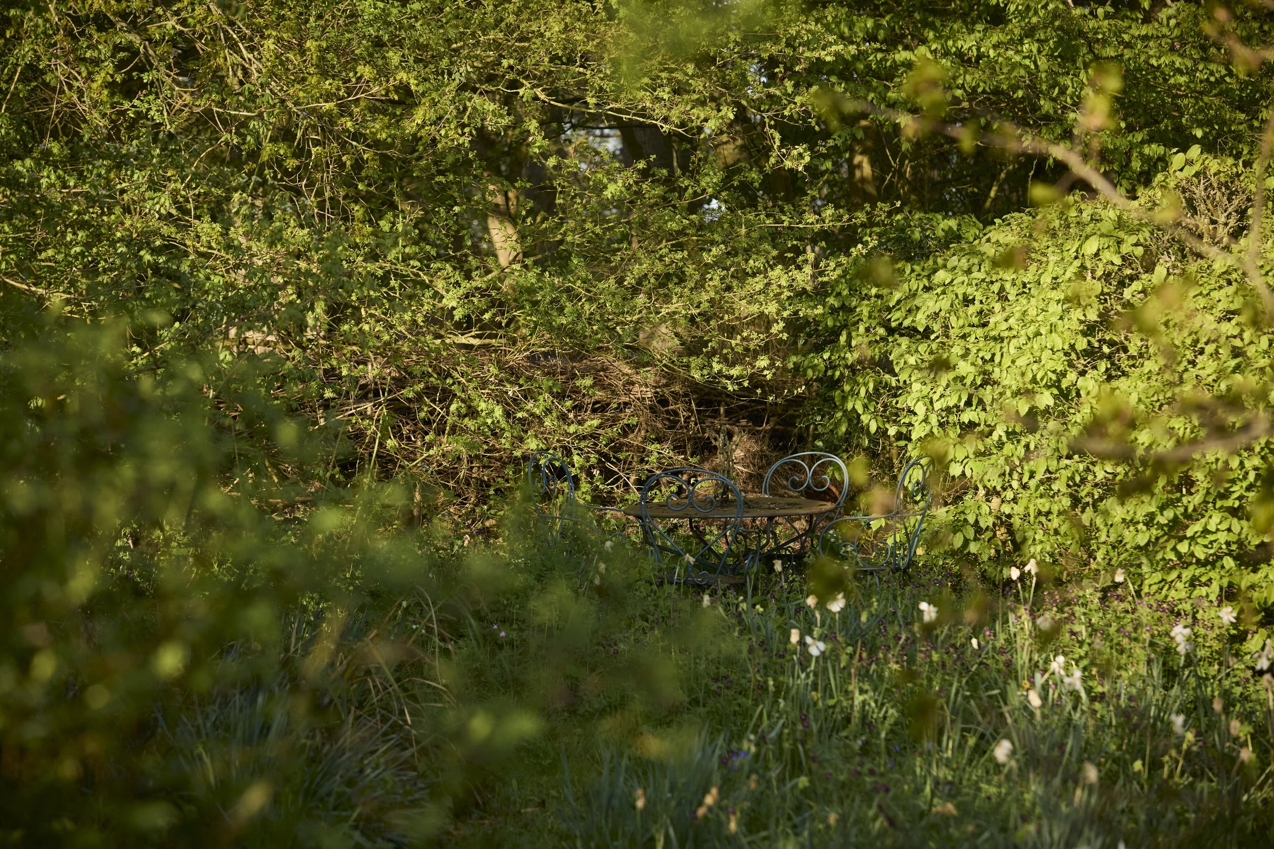 260422_Rustling_End_Herts_Spring_00526.jpg