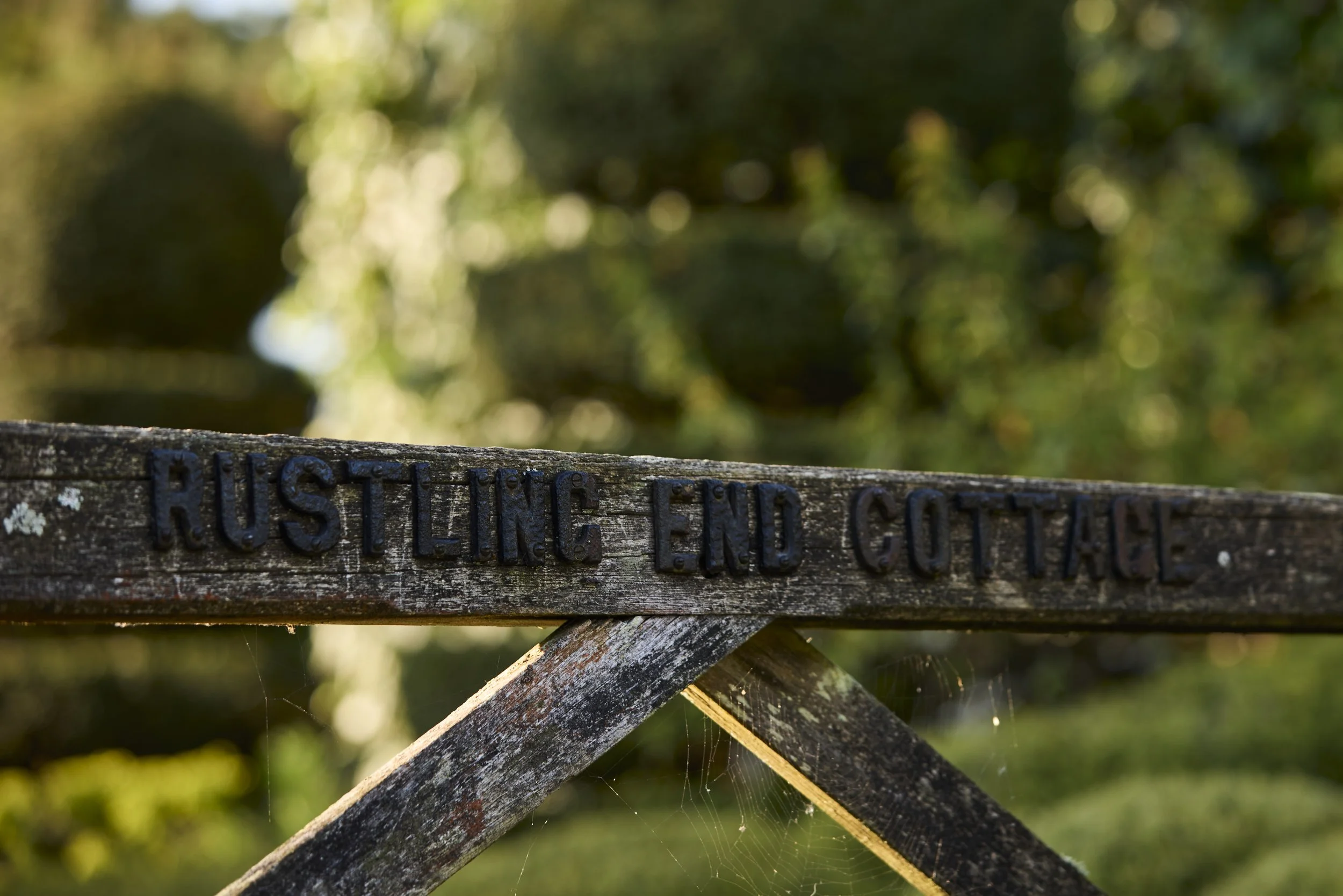 260422_Rustling_End_Herts_Spring_00418.jpg