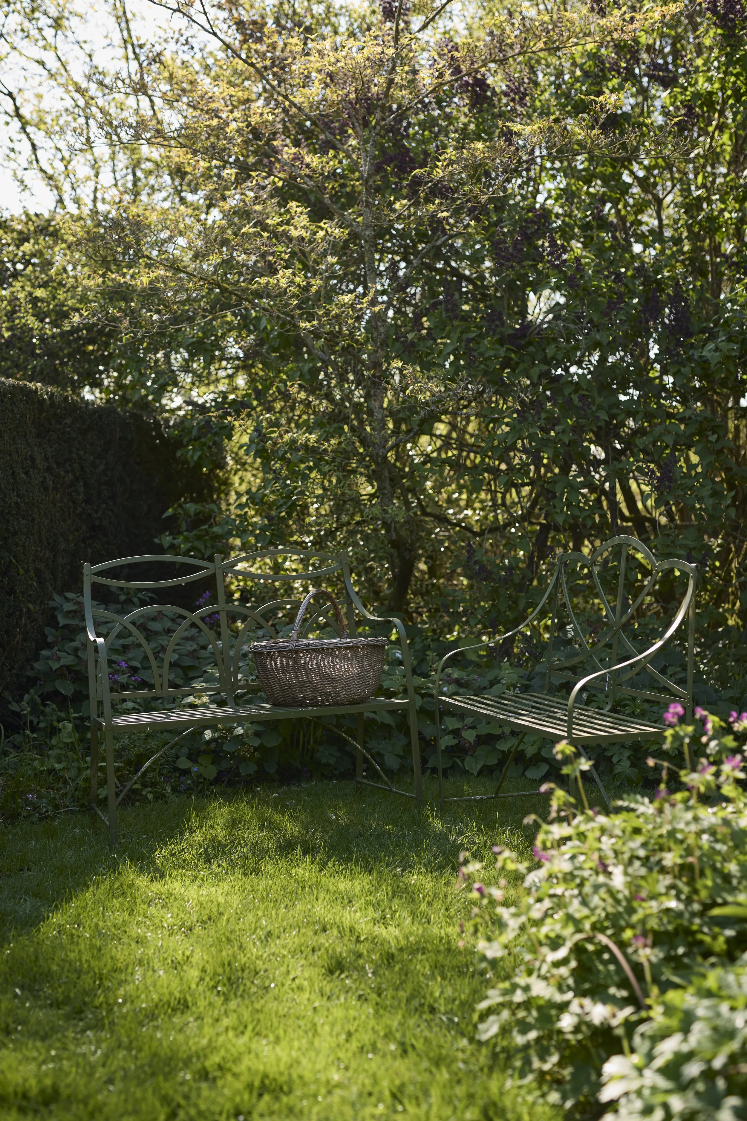 260422_Rustling_End_Herts_Spring_00829.jpg
