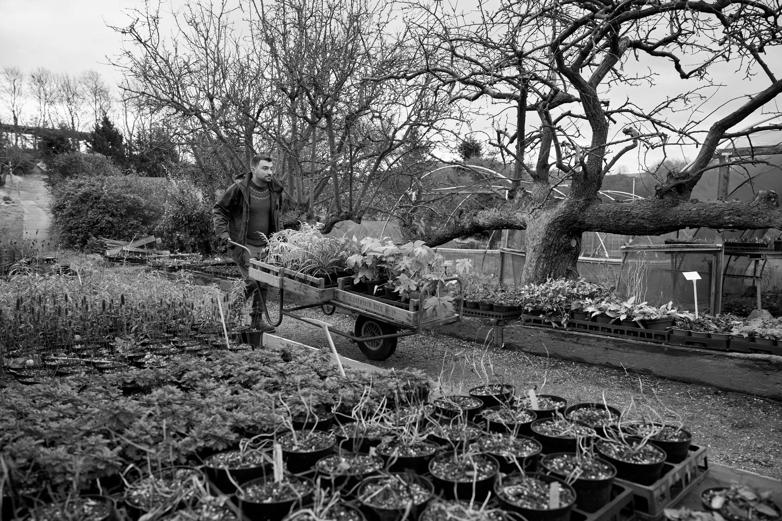 231221_Hooton's_Walled_Nursery_01871 1.jpg