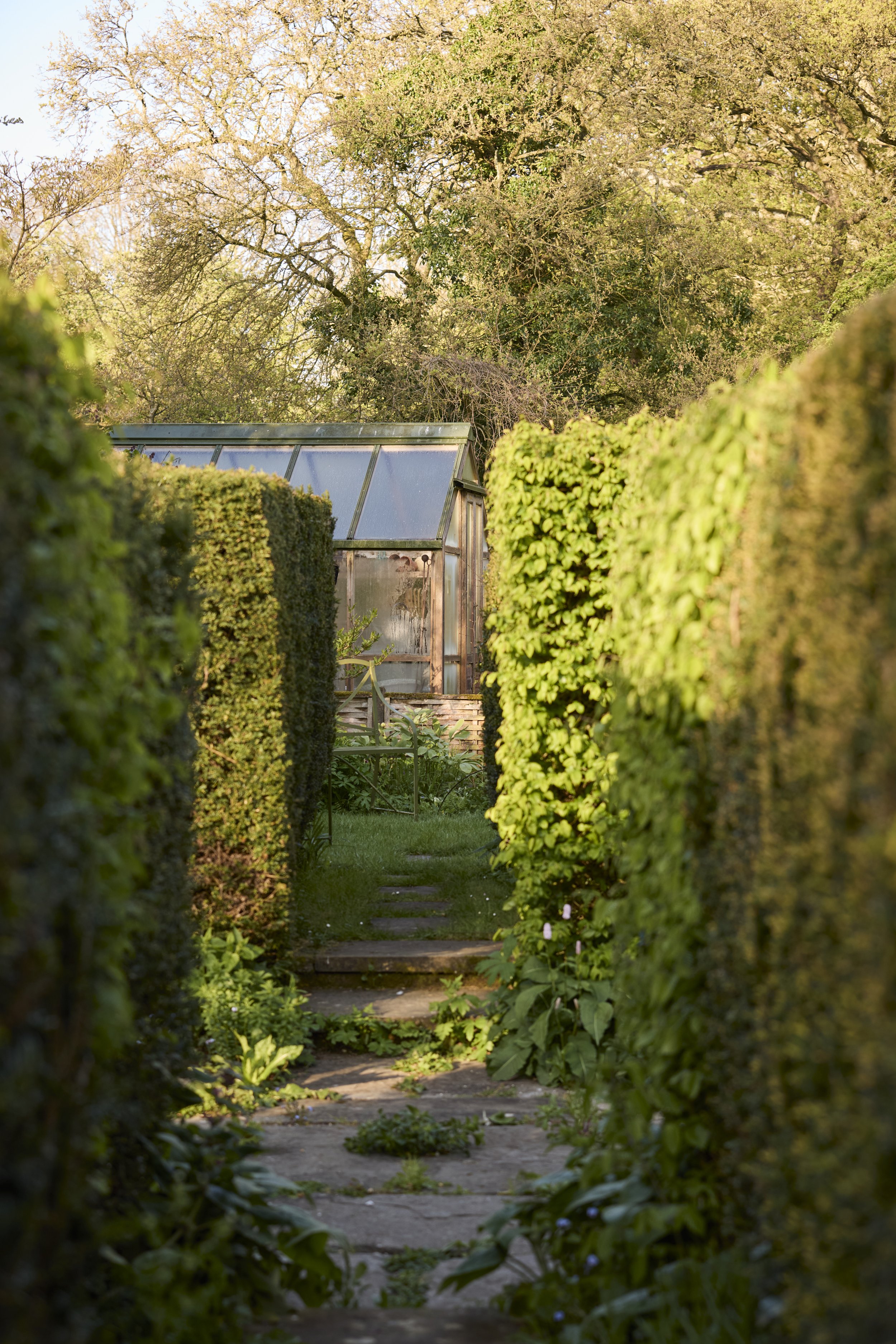 260422_Rustling_End_Herts_Spring_00480.jpg