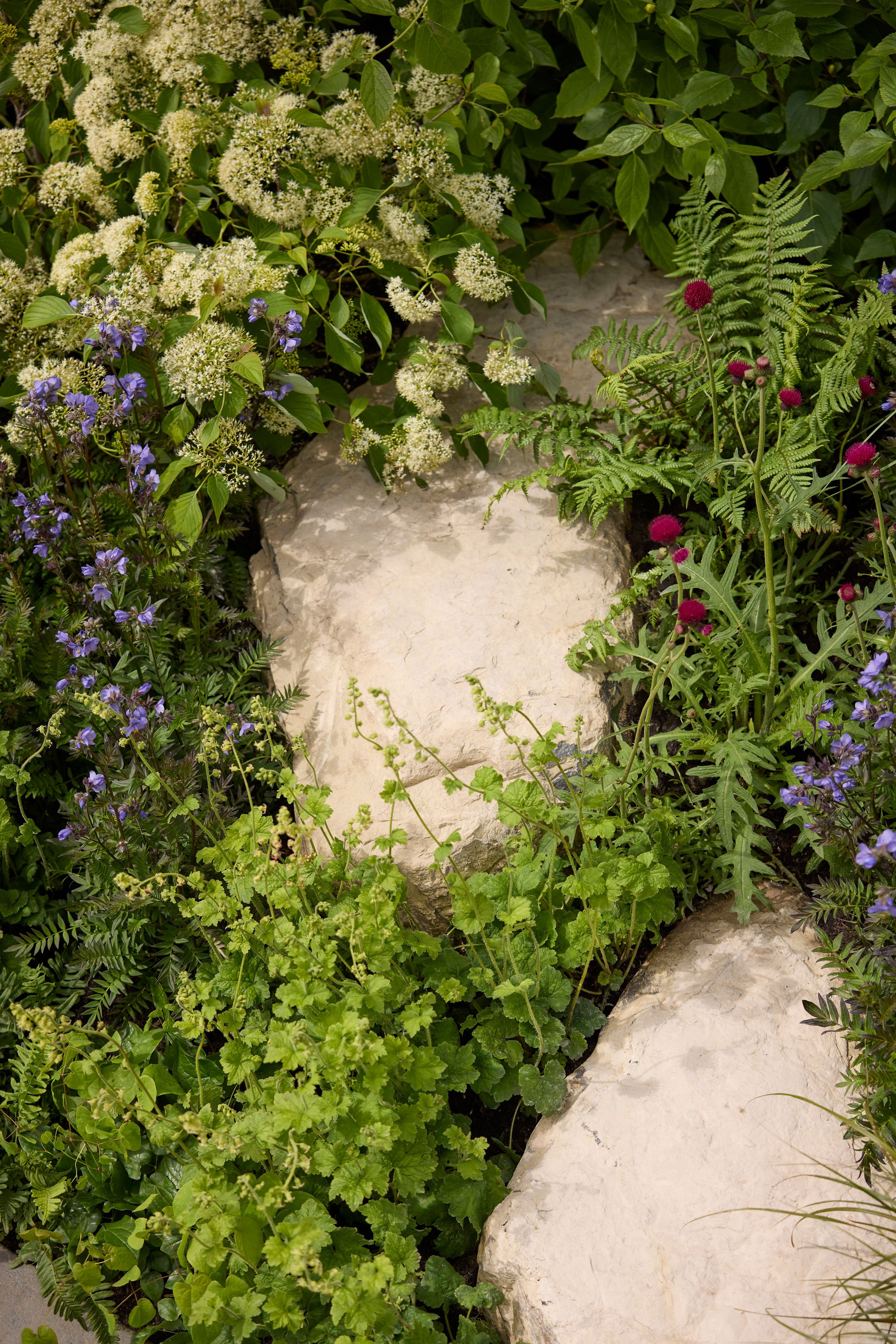 260515_RHS_Rob_Hardy_Trussell_001114.jpg