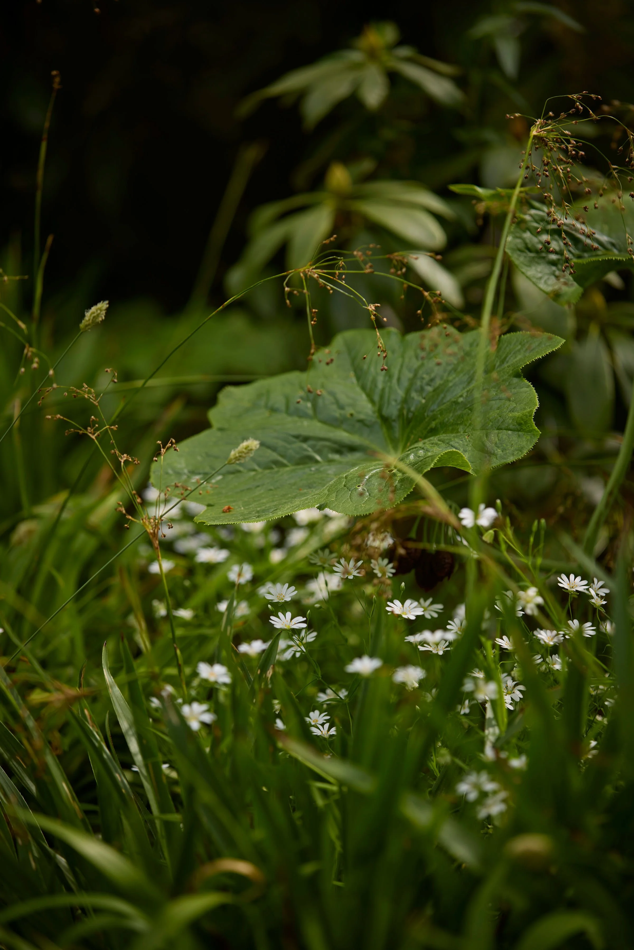 260507_SMLA_Hilversum_B_003030.jpg
