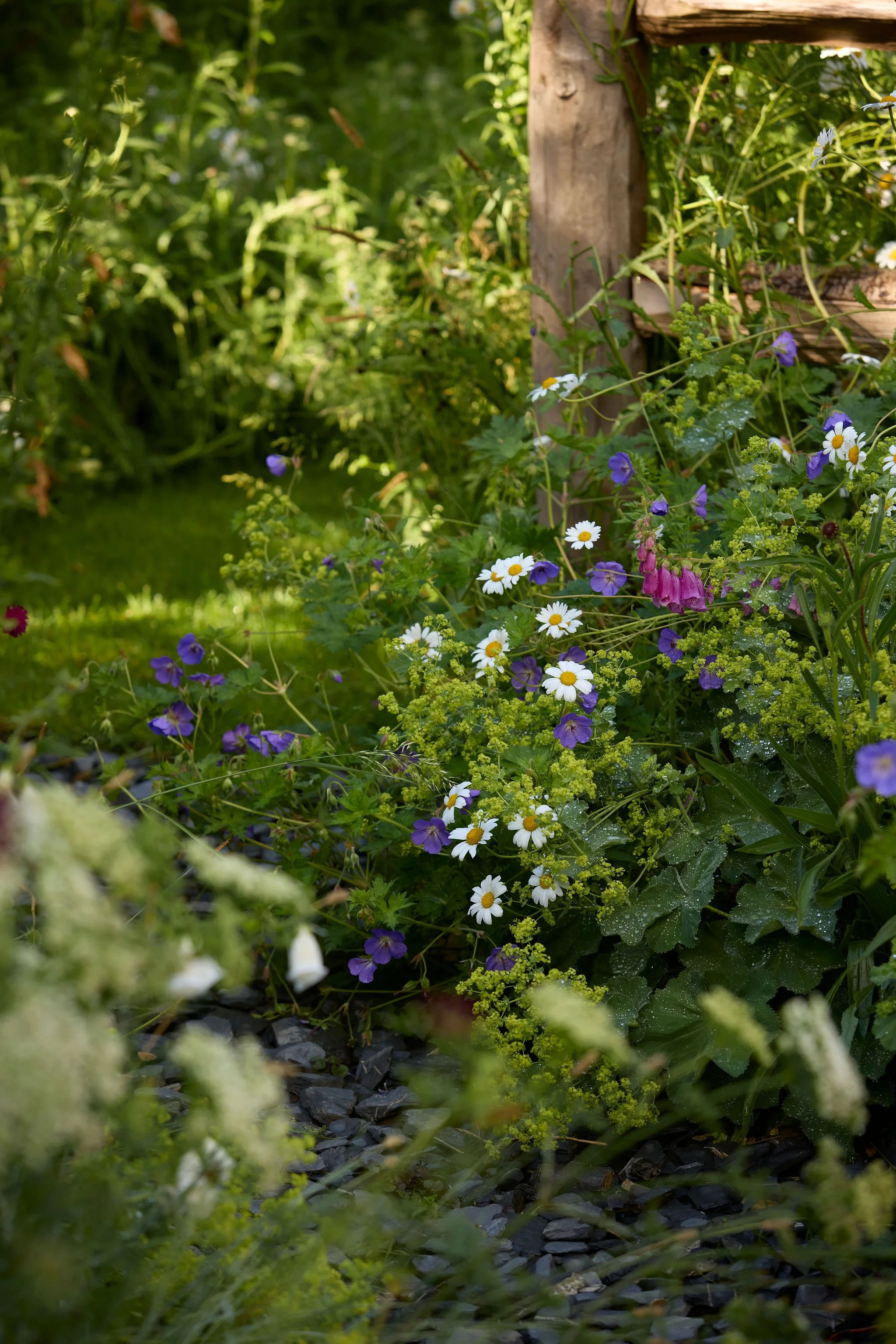 260608_SMLA_Holly_Cottage_00114.jpg