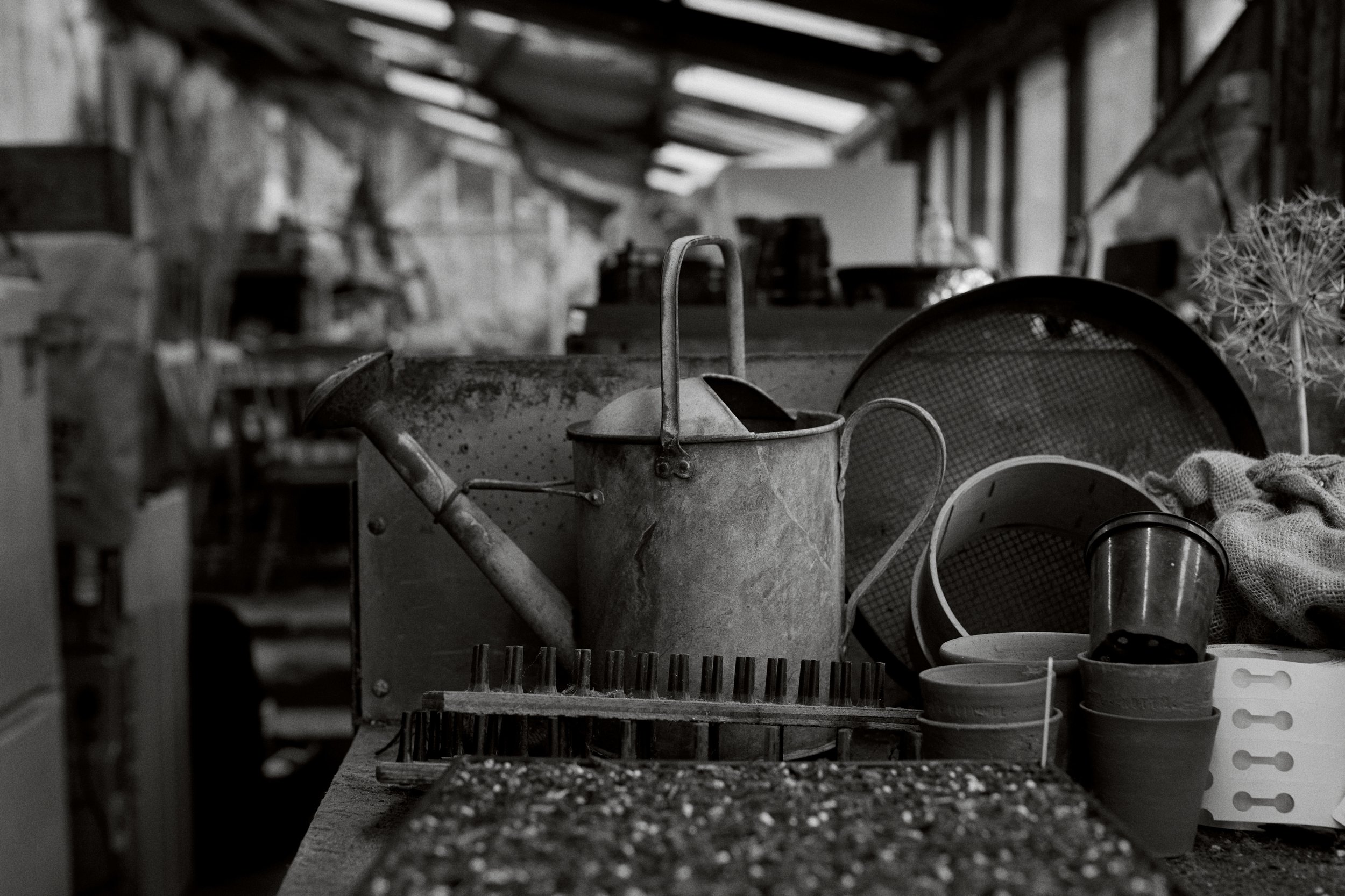 231221_Hooton's_Walled_Nursery_00610 1.jpg