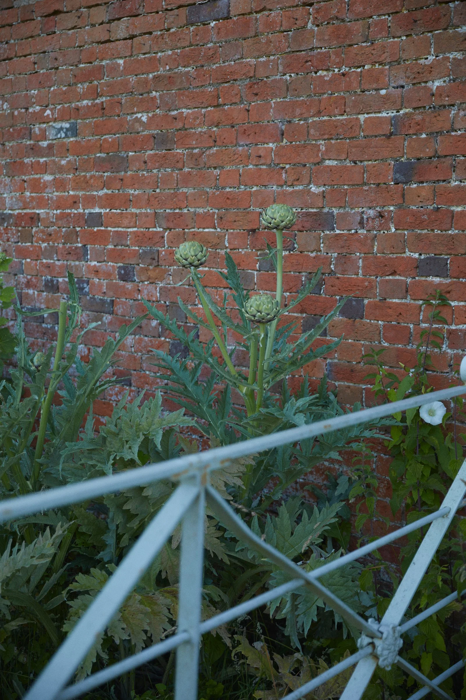 220708_Long_Bredy_House_ 25 1.jpg