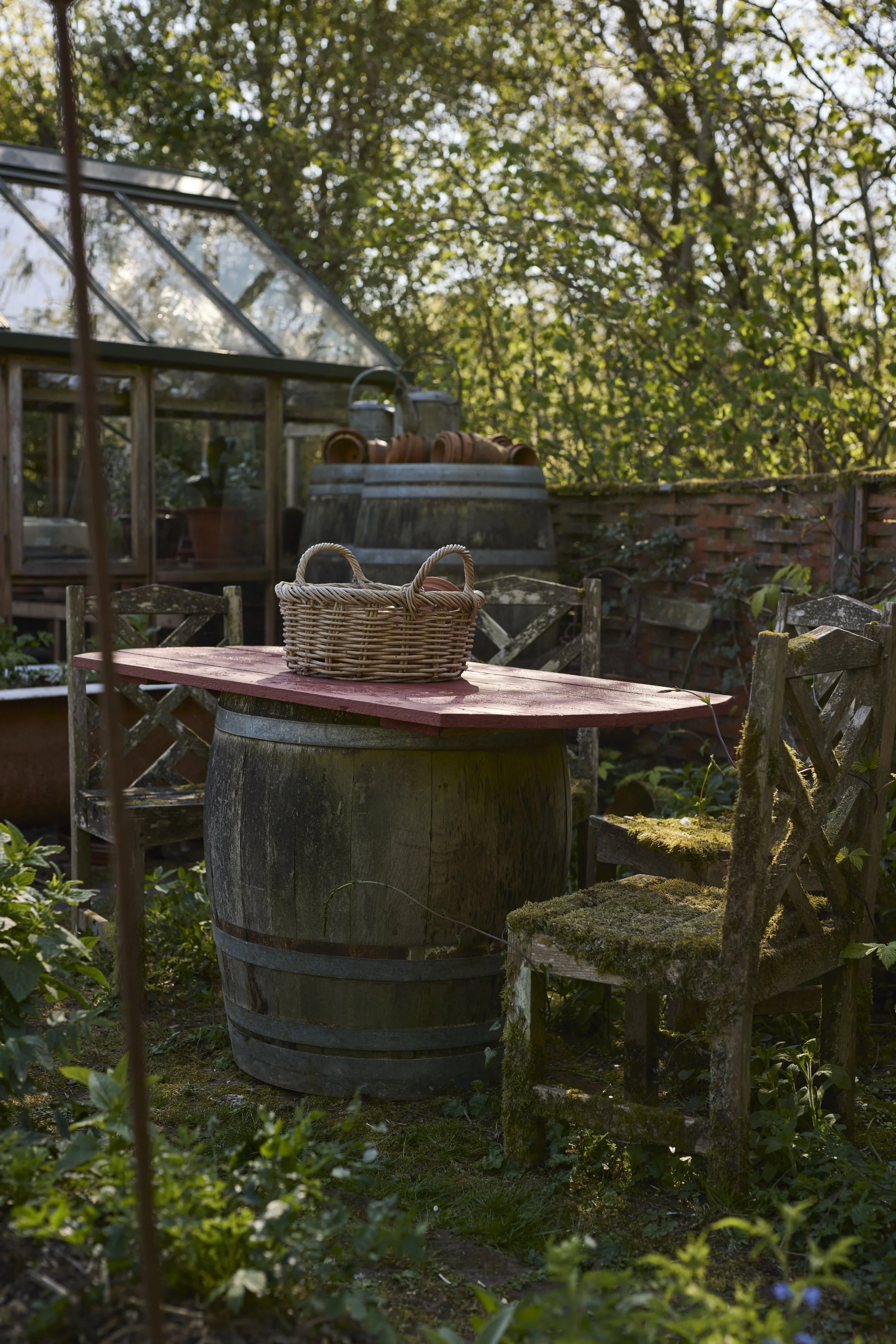 260422_Rustling_End_Herts_Spring_00757.jpg
