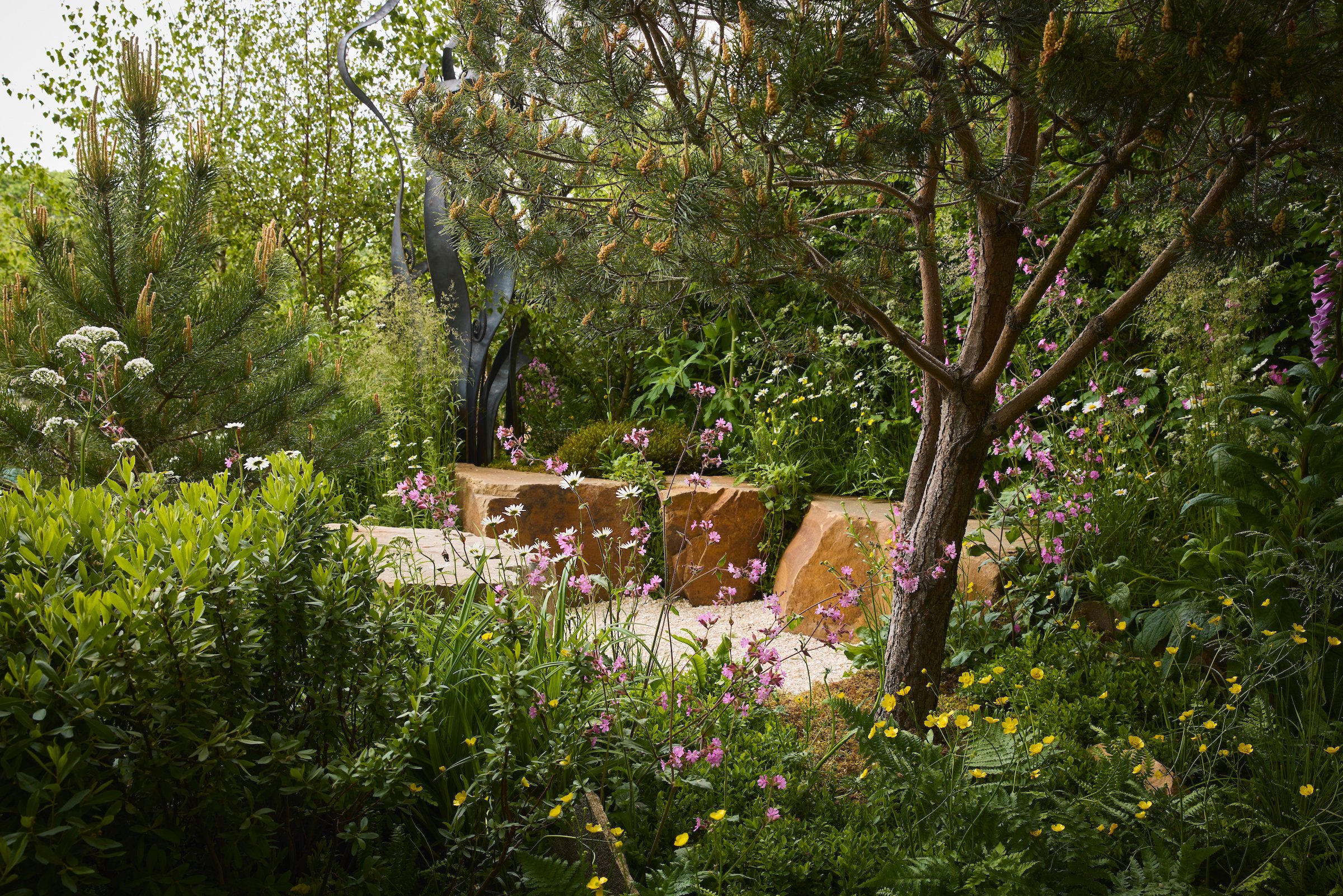 Ryan McMahon, RHS Chelsea 2025