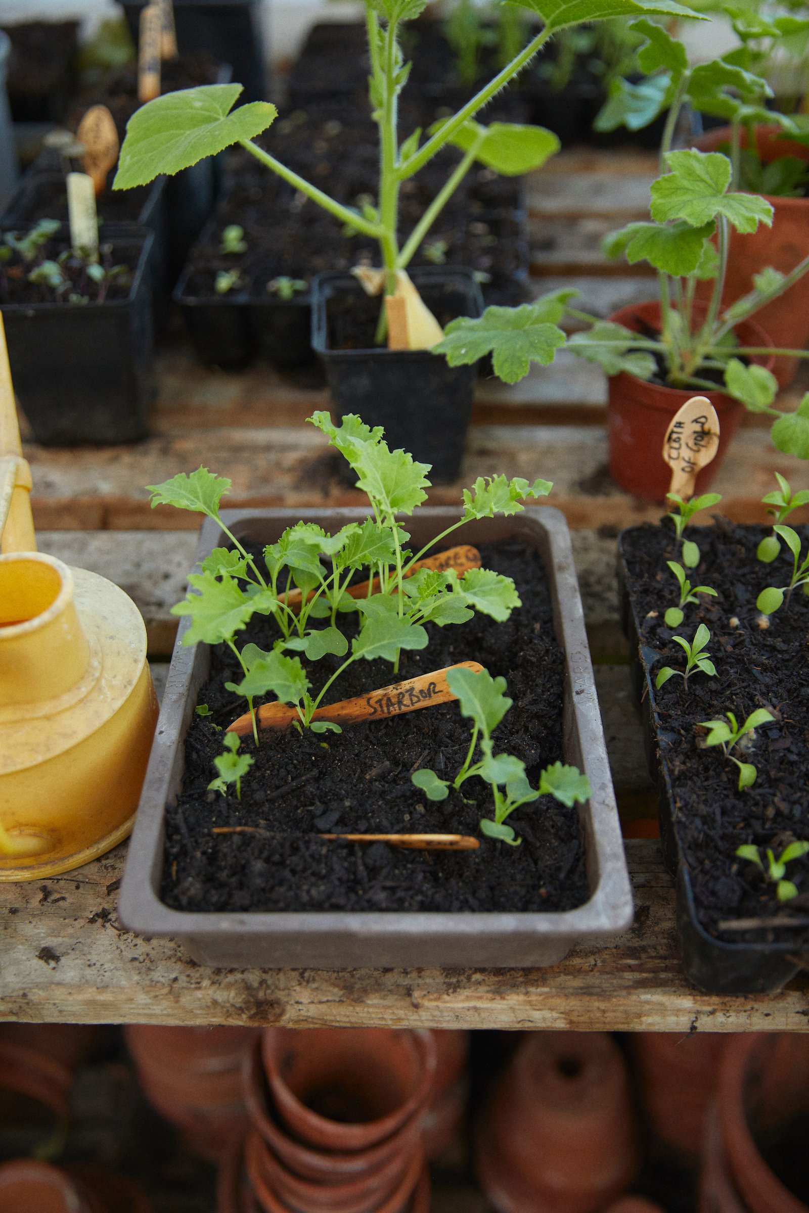 220708_Long_Bredy_House_ 21 1.jpg