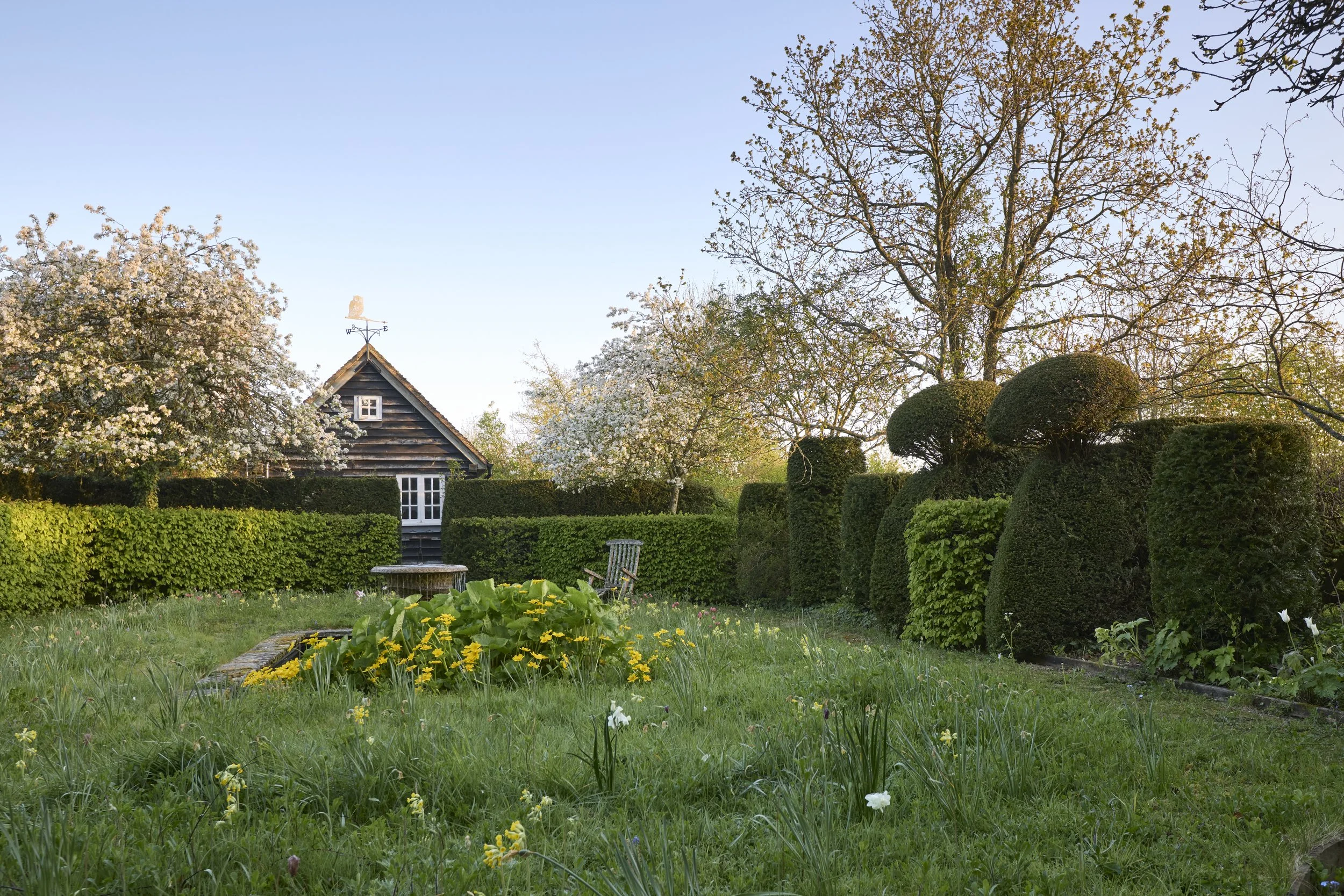 260422_Rustling_End_Herts_Spring_00131.jpg
