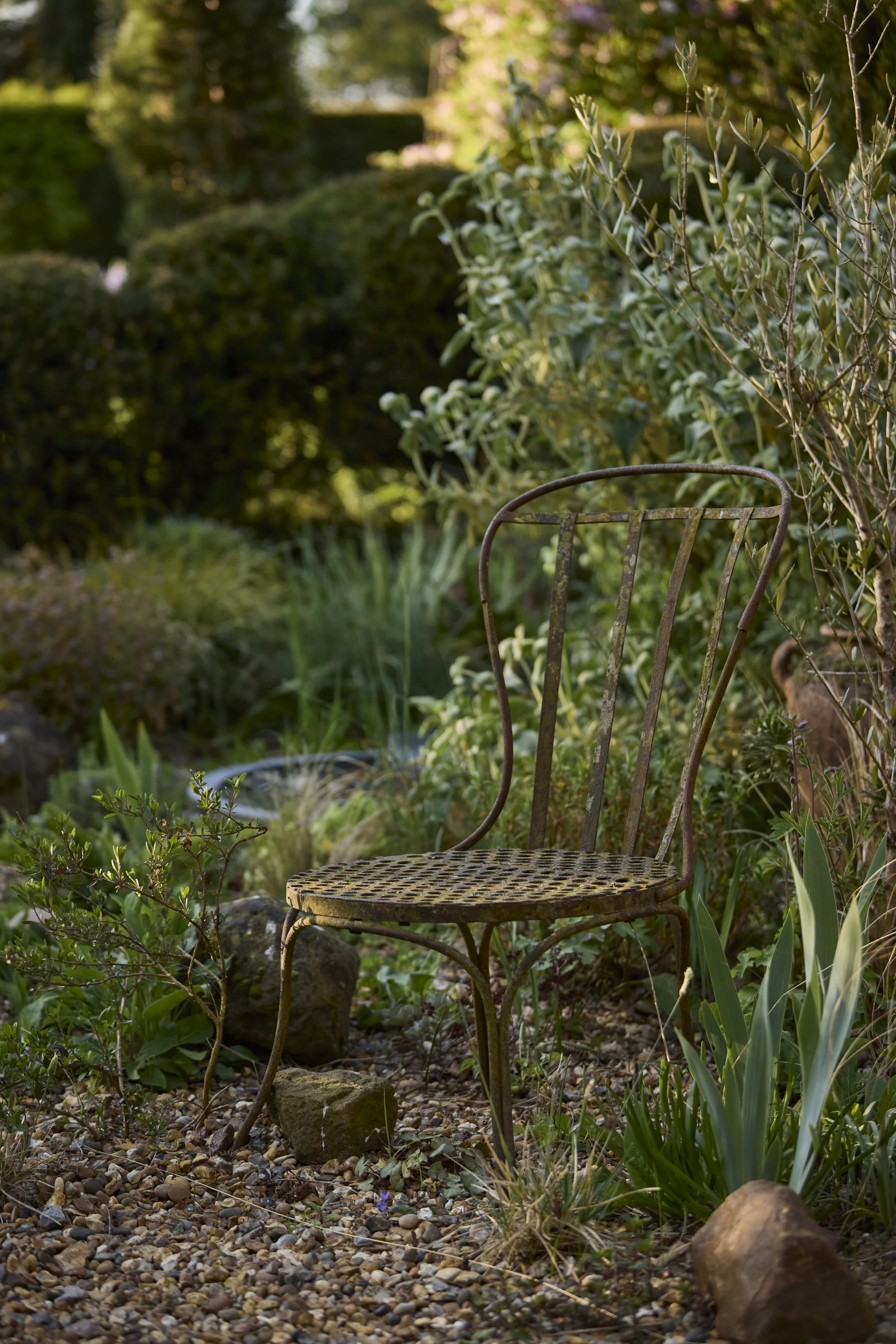 260422_Rustling_End_Herts_Spring_00505.jpg