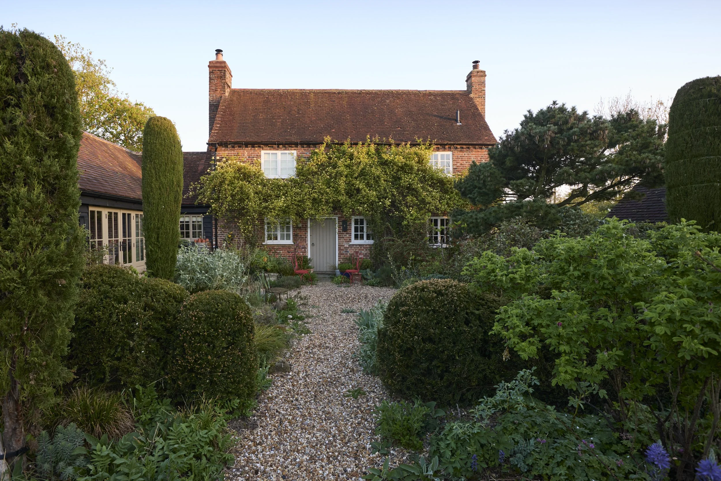 260422_Rustling_End_Herts_Spring_00077.jpg