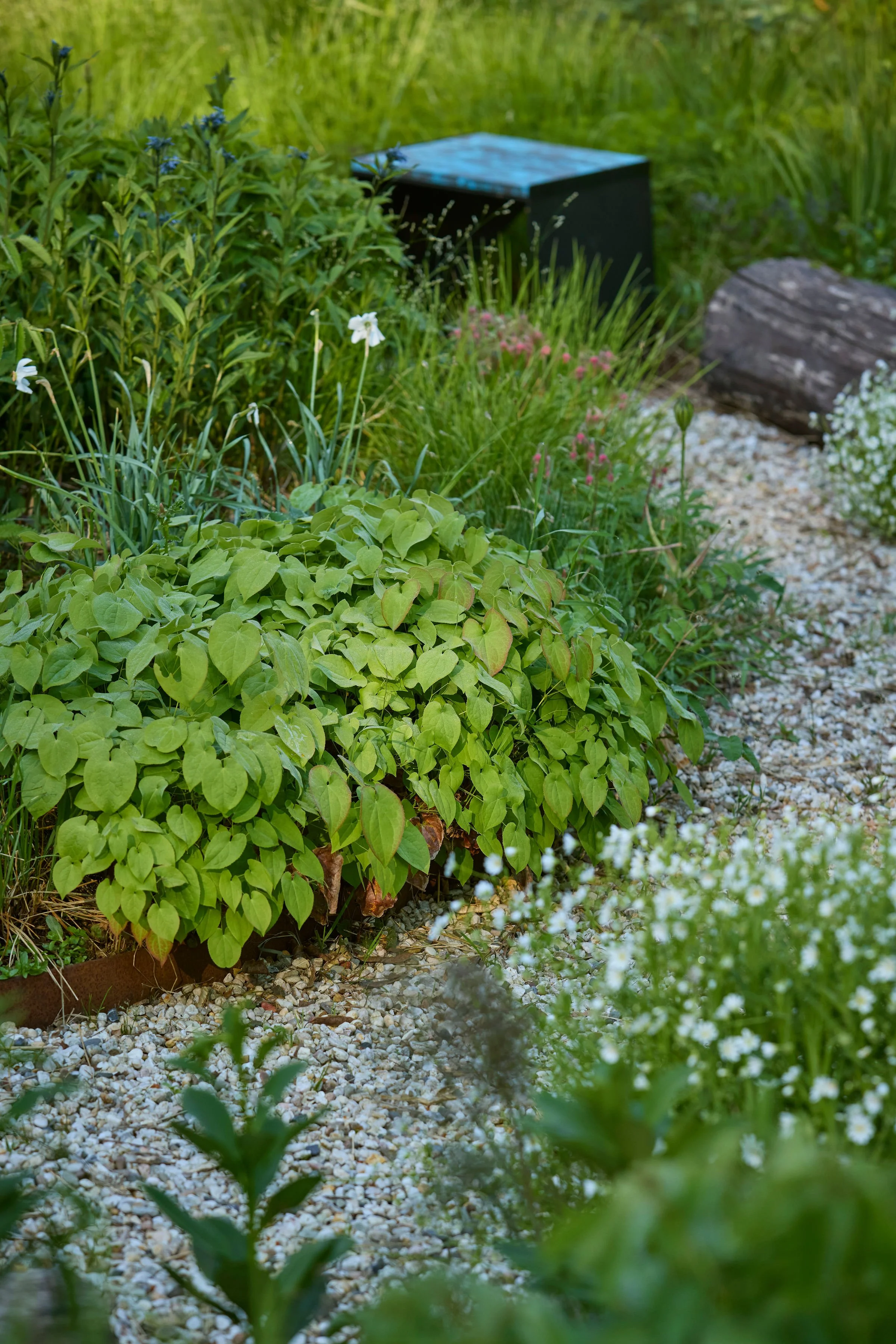 260507_SMLA_Hilversum_A_002714.jpg