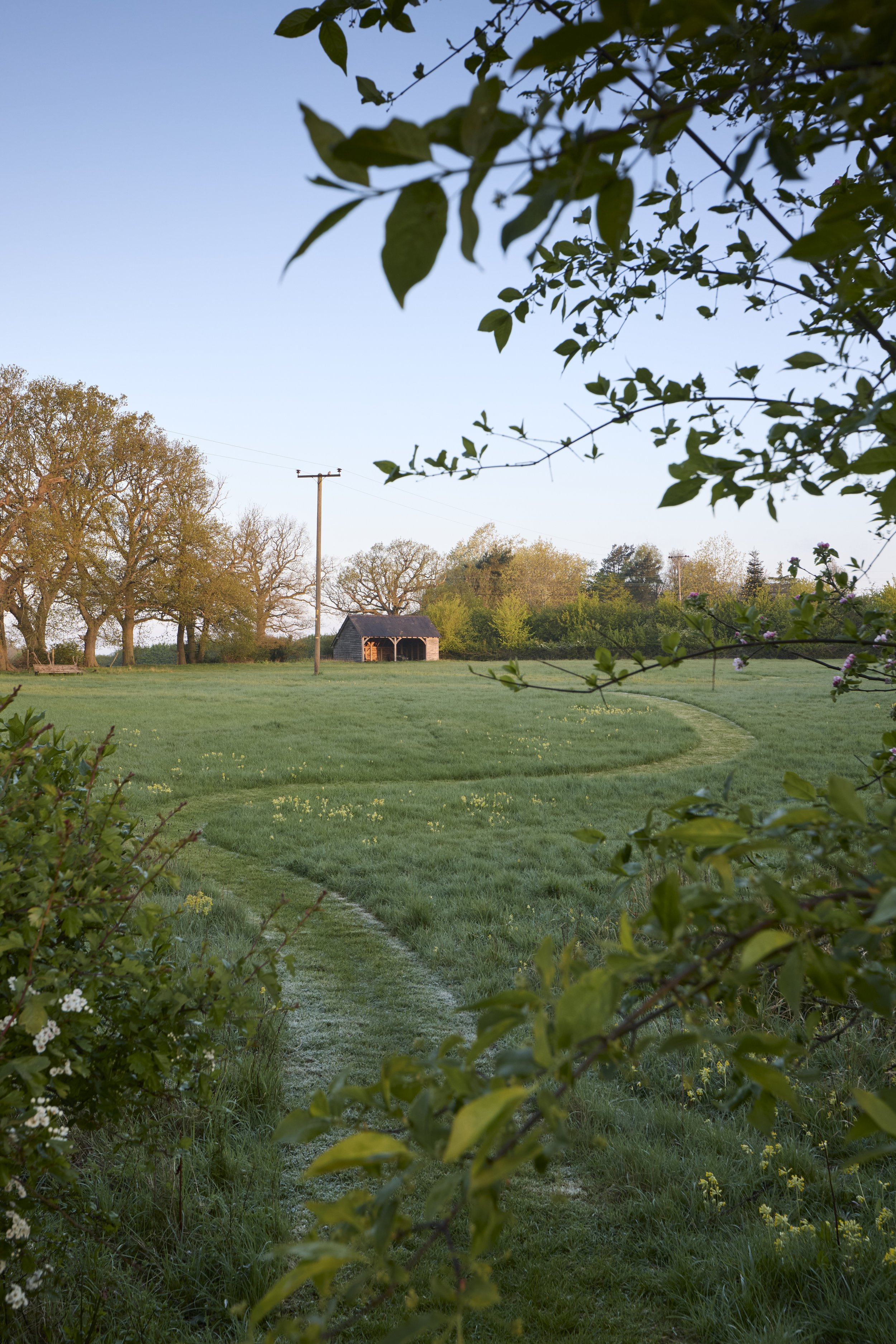 260422_Rustling_End_Herts_Spring_00051.jpg