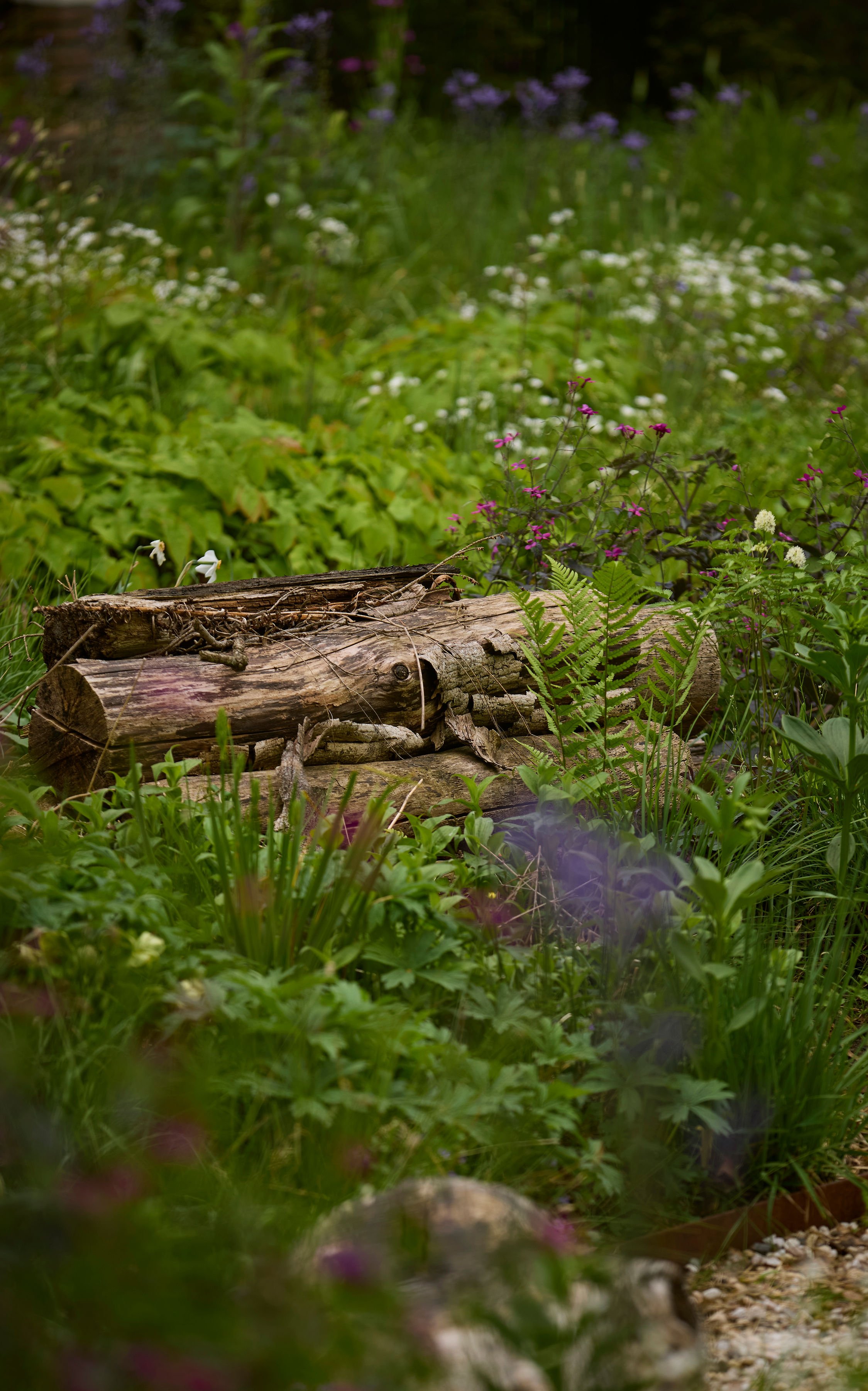 260507_SMLA_Hilversum_A_002207.jpg